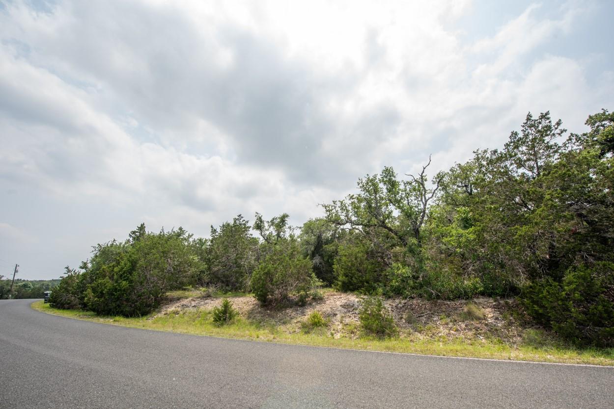 203 Saddlehorn Dr Property Photo 6