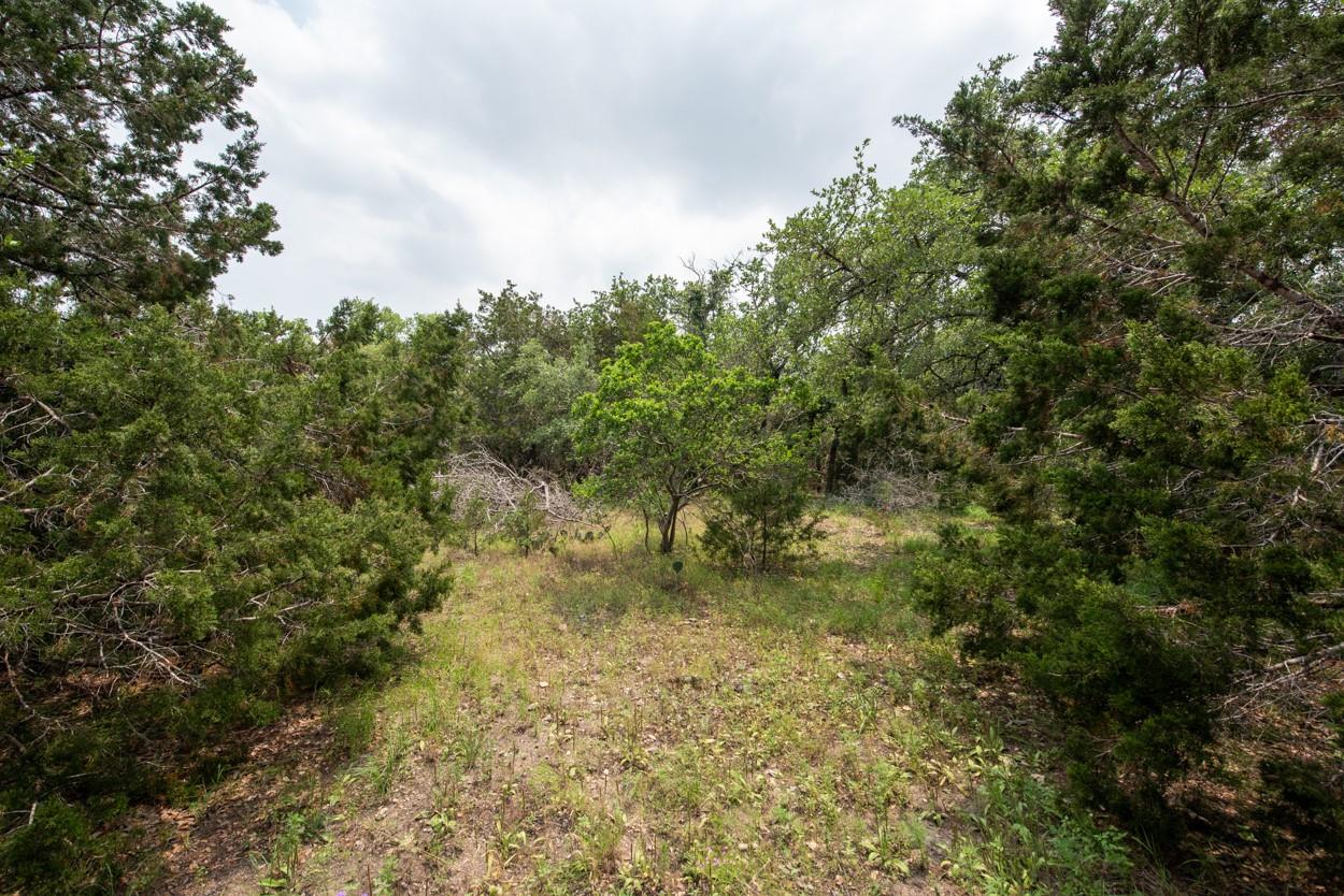 203 Saddlehorn Dr Property Photo 10