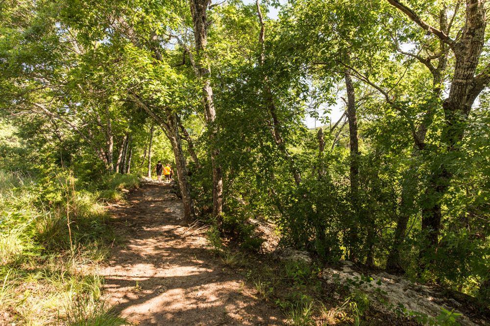 5208 Buchanan Draw Rd Property Photo 40