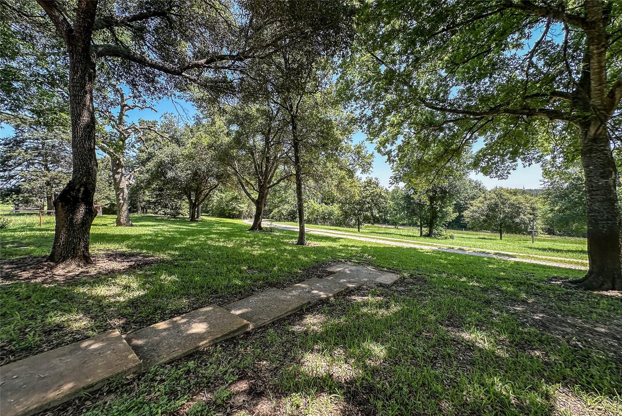 5589 County Rd 315 (+/-10.5 Acs) Property Photo 3