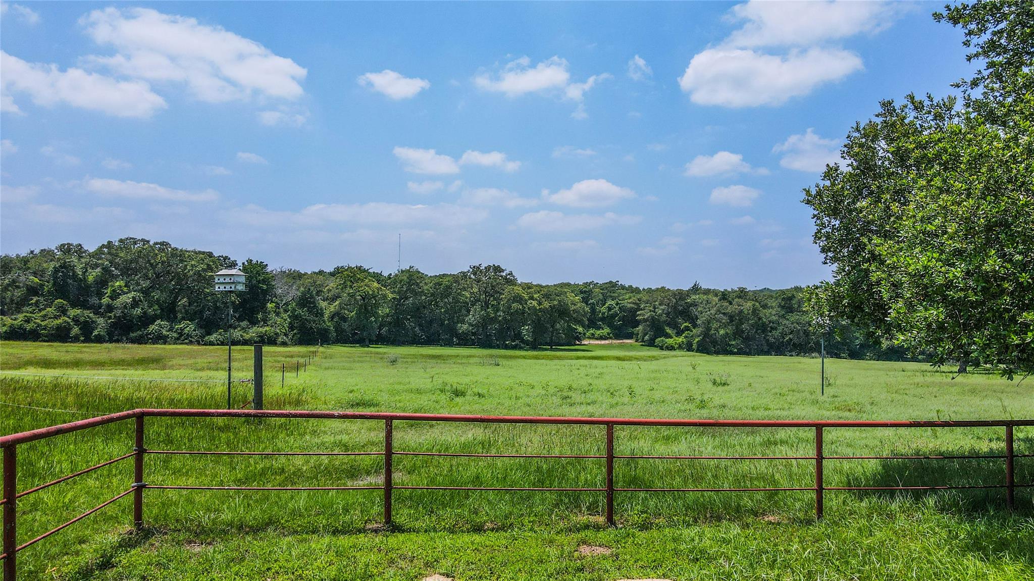 5589 County Rd 315 (+/-10.5 Acs) Property Photo 14