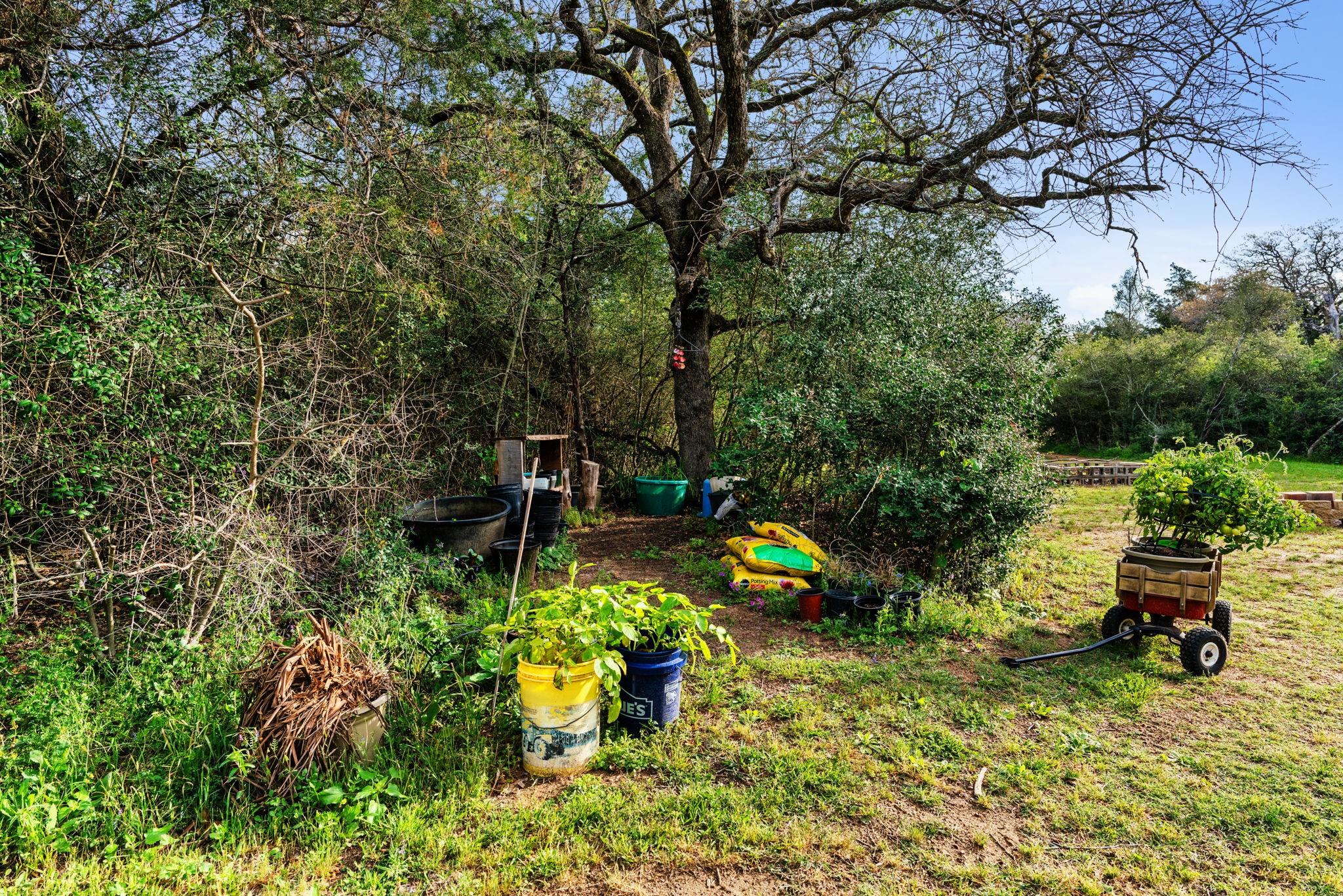 297 Meuth Cemetery Rd Property Photo 32
