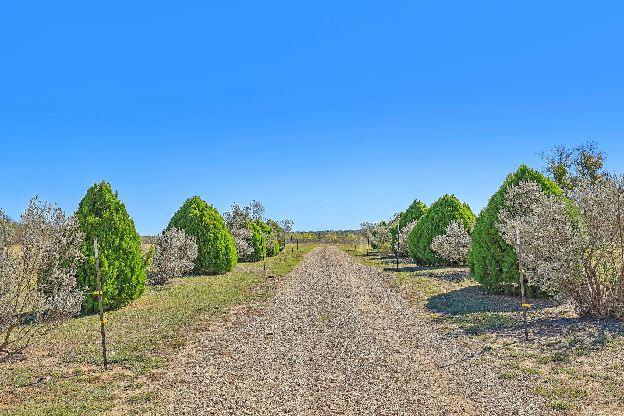 1525 Fm 1704 Property Photo 5