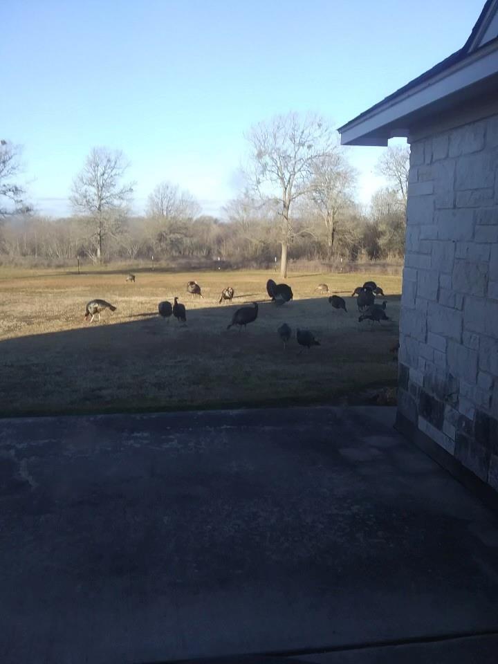 1525 Fm 1704 Property Photo 39