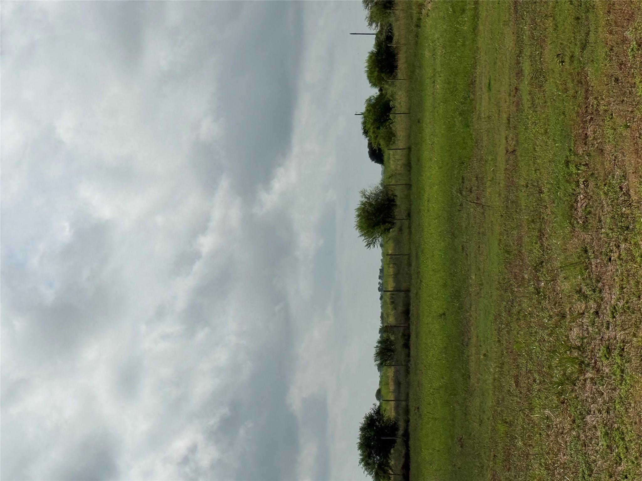 1993 Fm 2761 None Property Photo 8