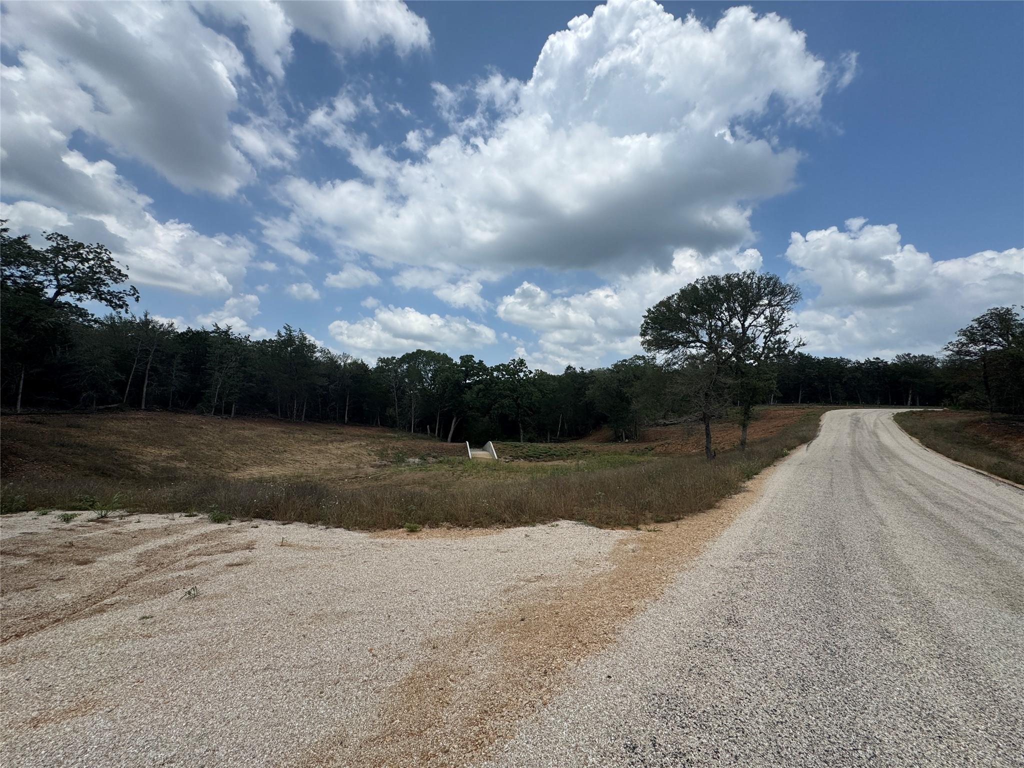 Lot 1 Hailey Ln Property Photo 1