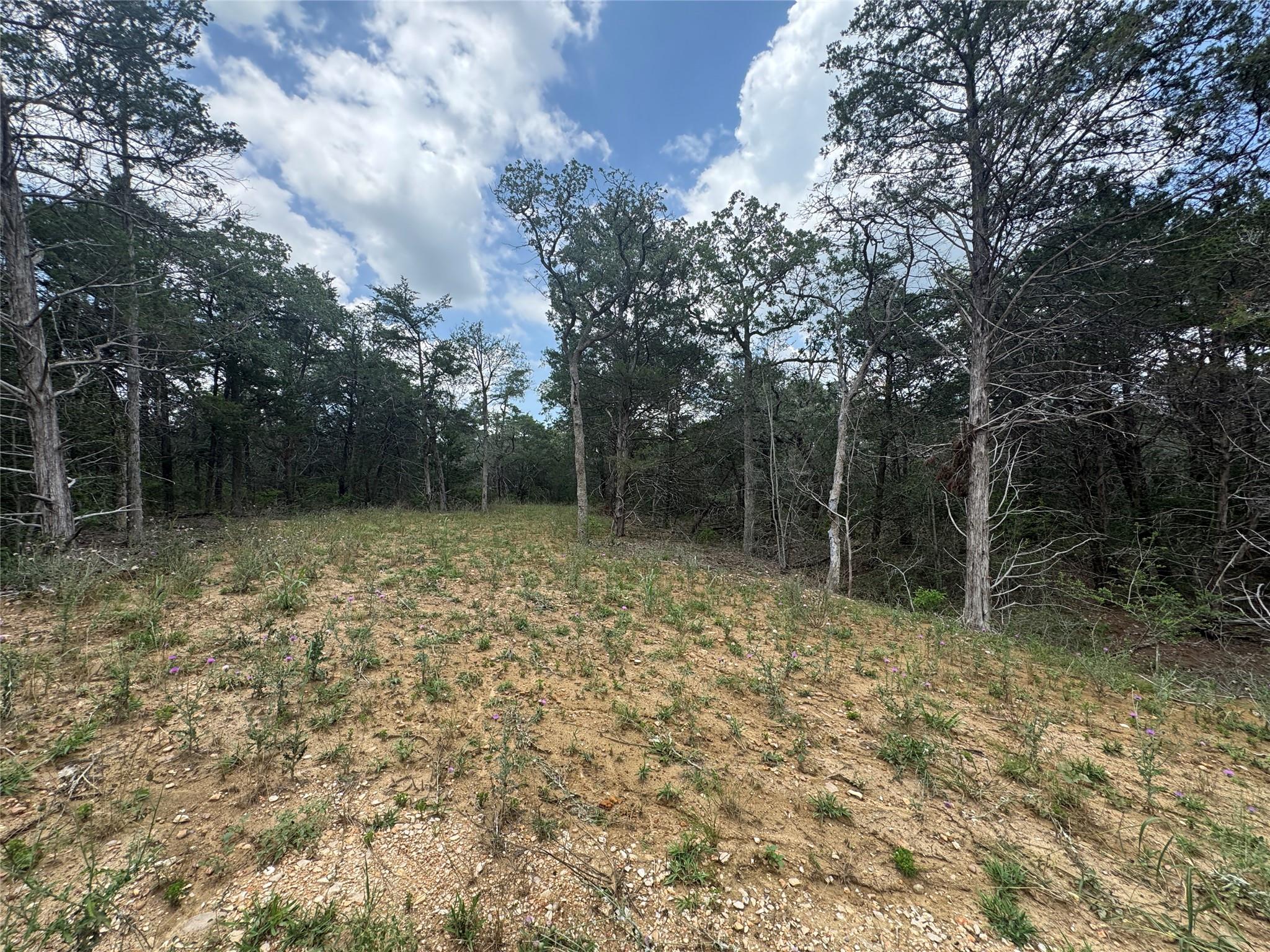 Lot 1 Hailey Ln Property Photo 3