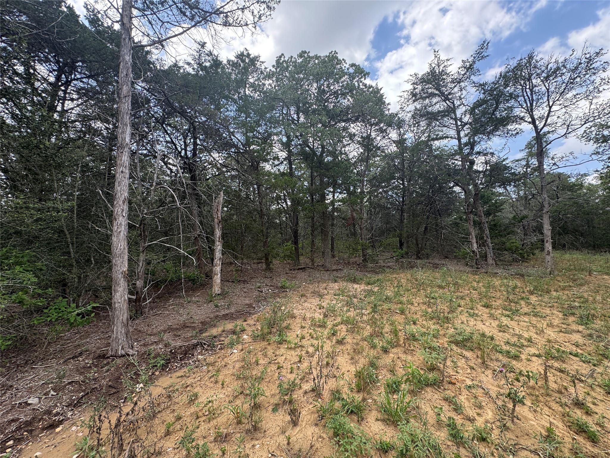 Lot 1 Hailey Ln Property Photo 4