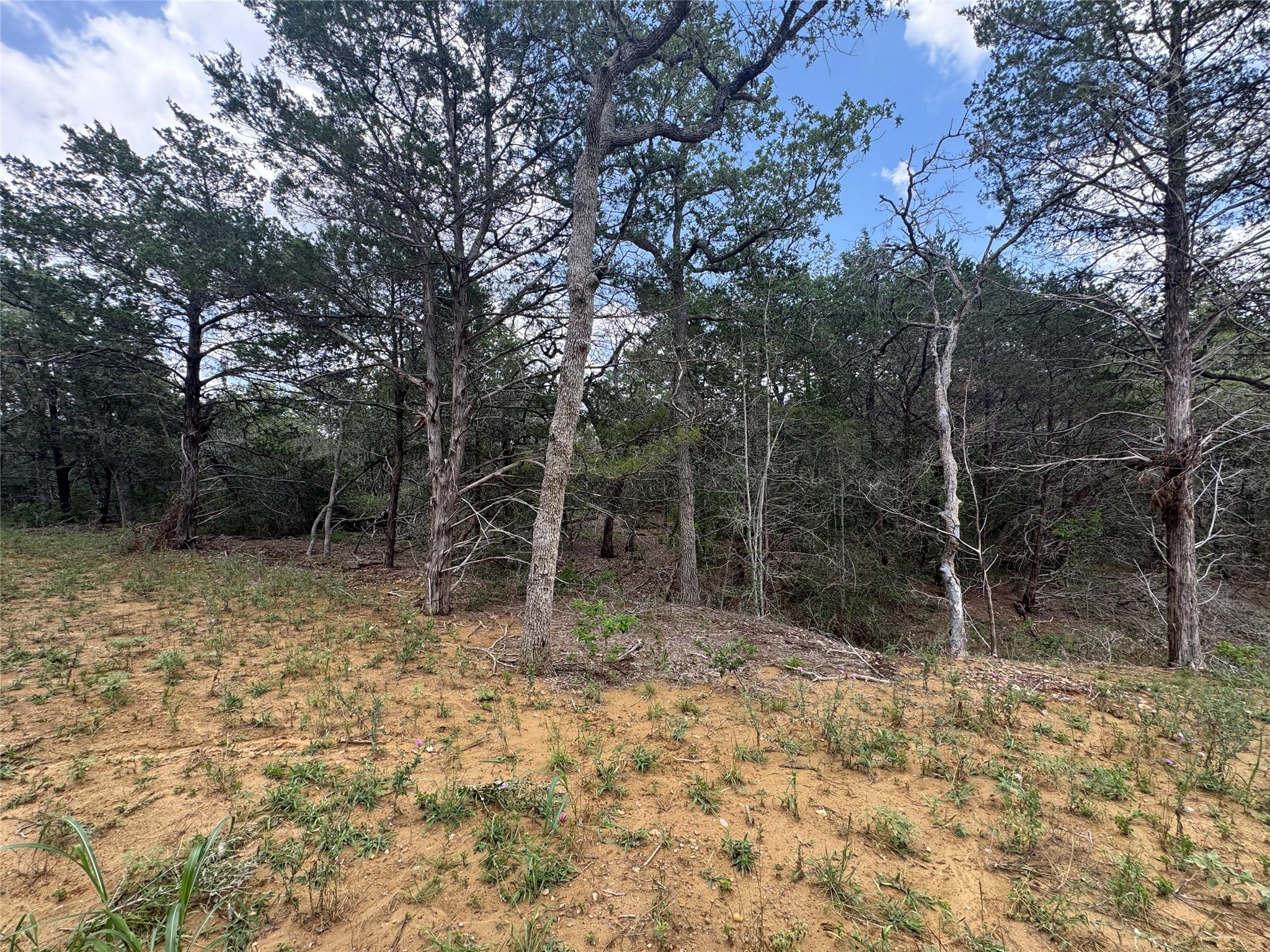 Lot 1 Hailey Ln Property Photo 5