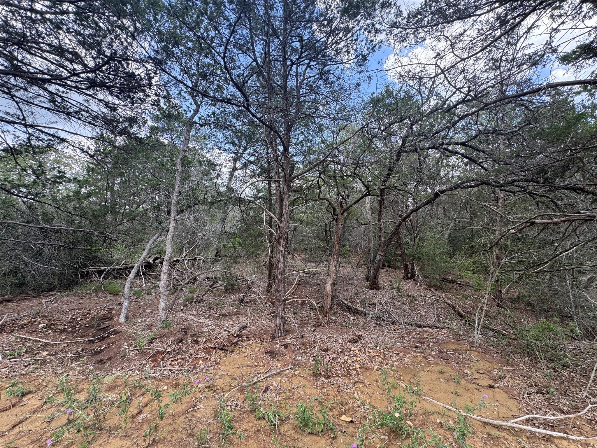 Lot 1 Hailey Ln Property Photo 6