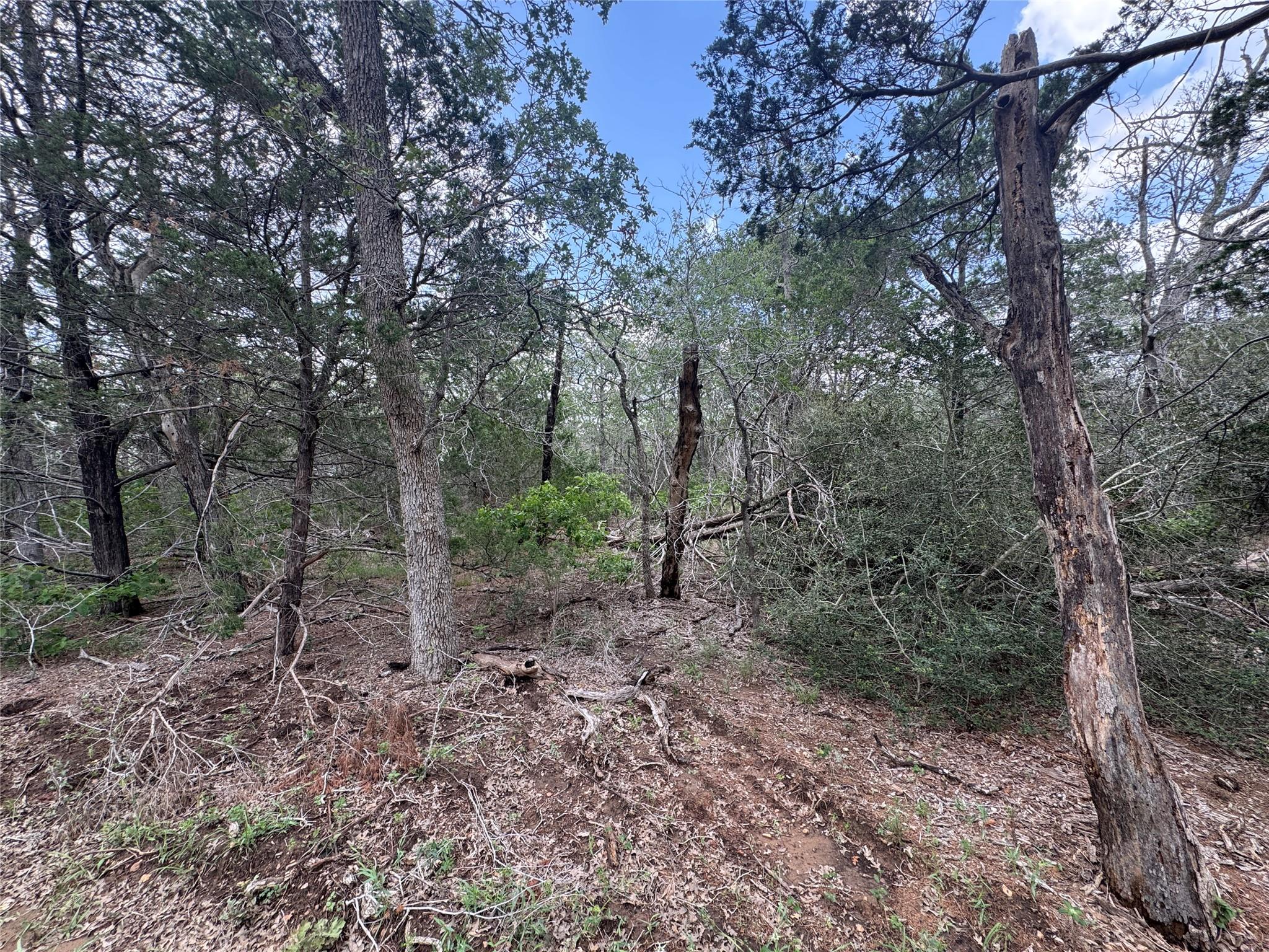 Lot 1 Hailey Ln Property Photo 7