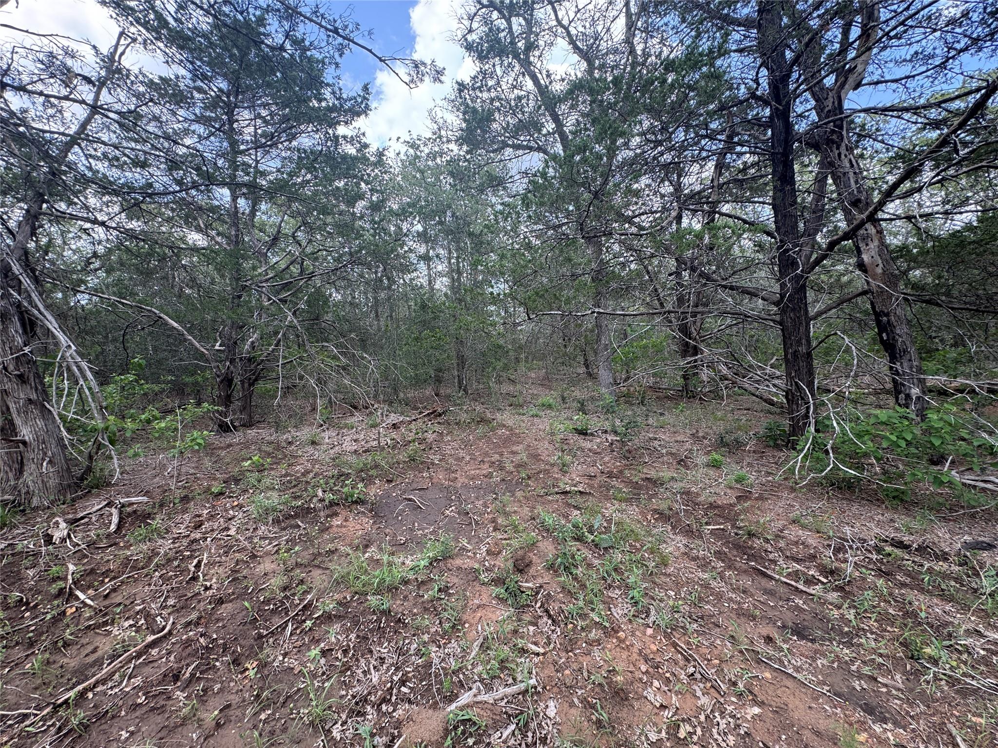 Lot 1 Hailey Ln Property Photo 8
