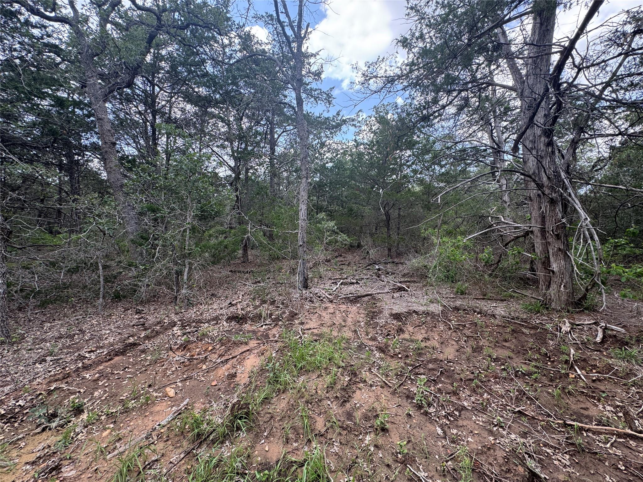 Lot 1 Hailey Ln Property Photo 9