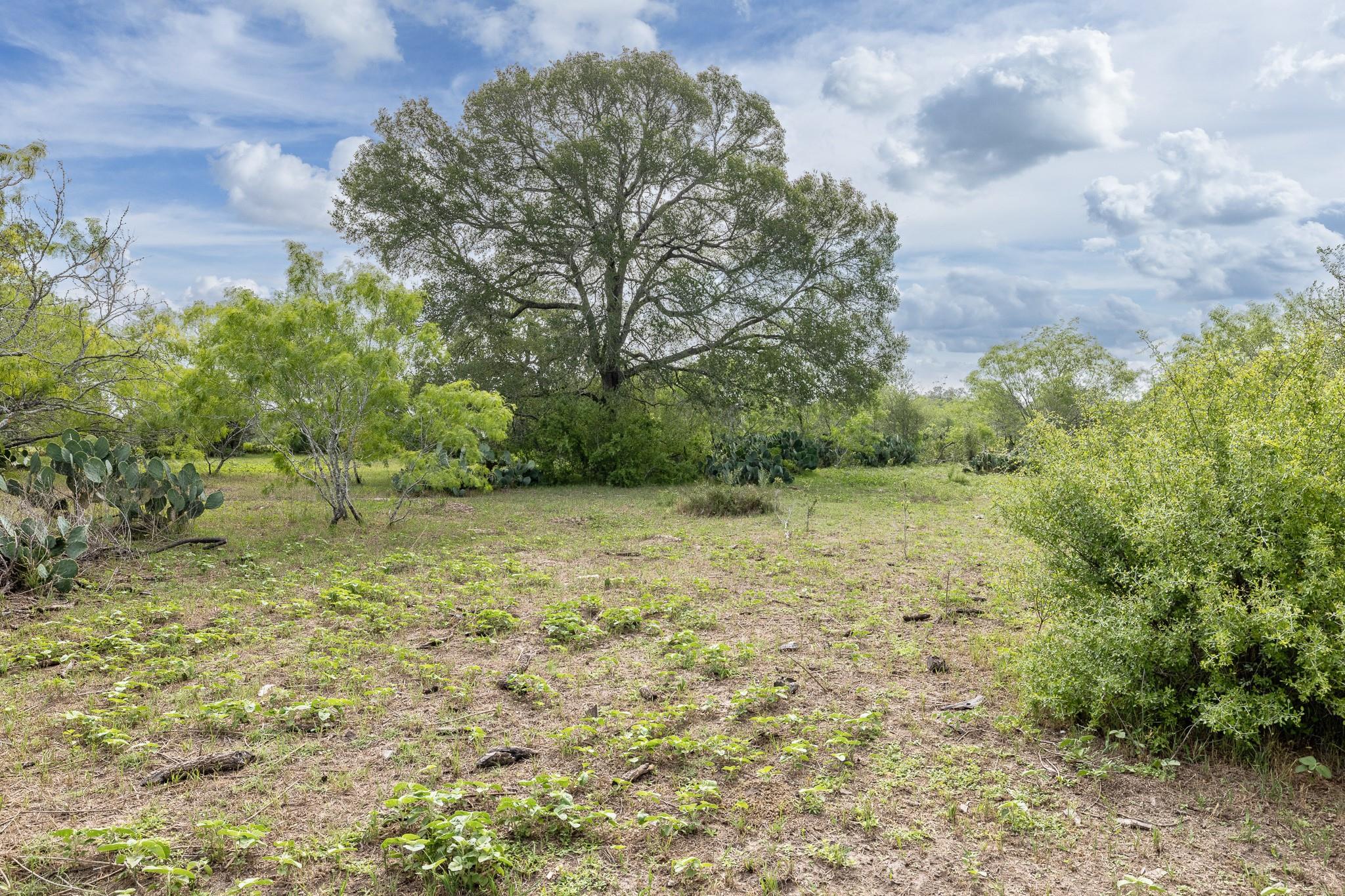 5063 State Hwy. 97 E Property Photo 1