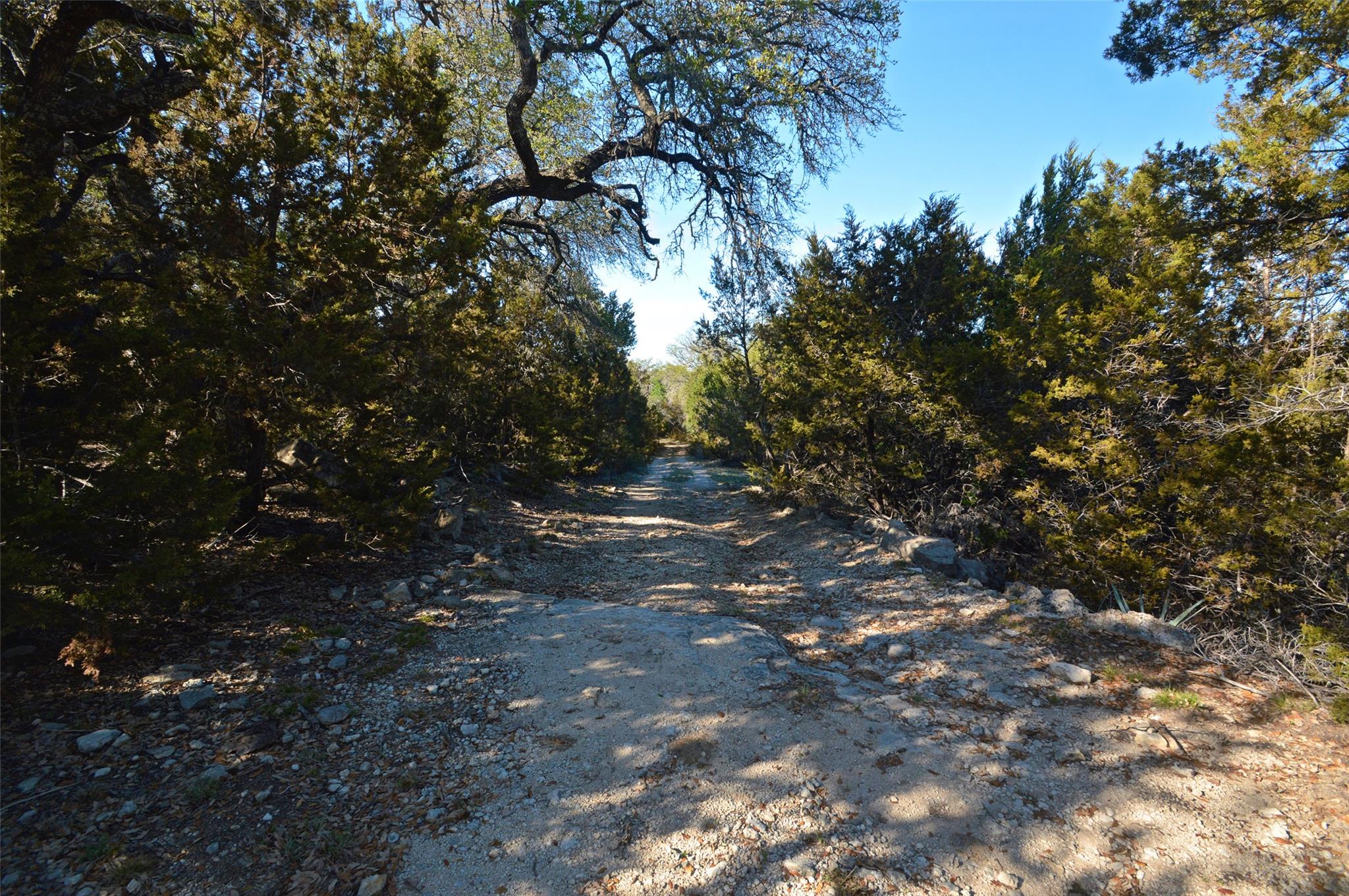 0 Fm 581 Hwy Property Photo 7