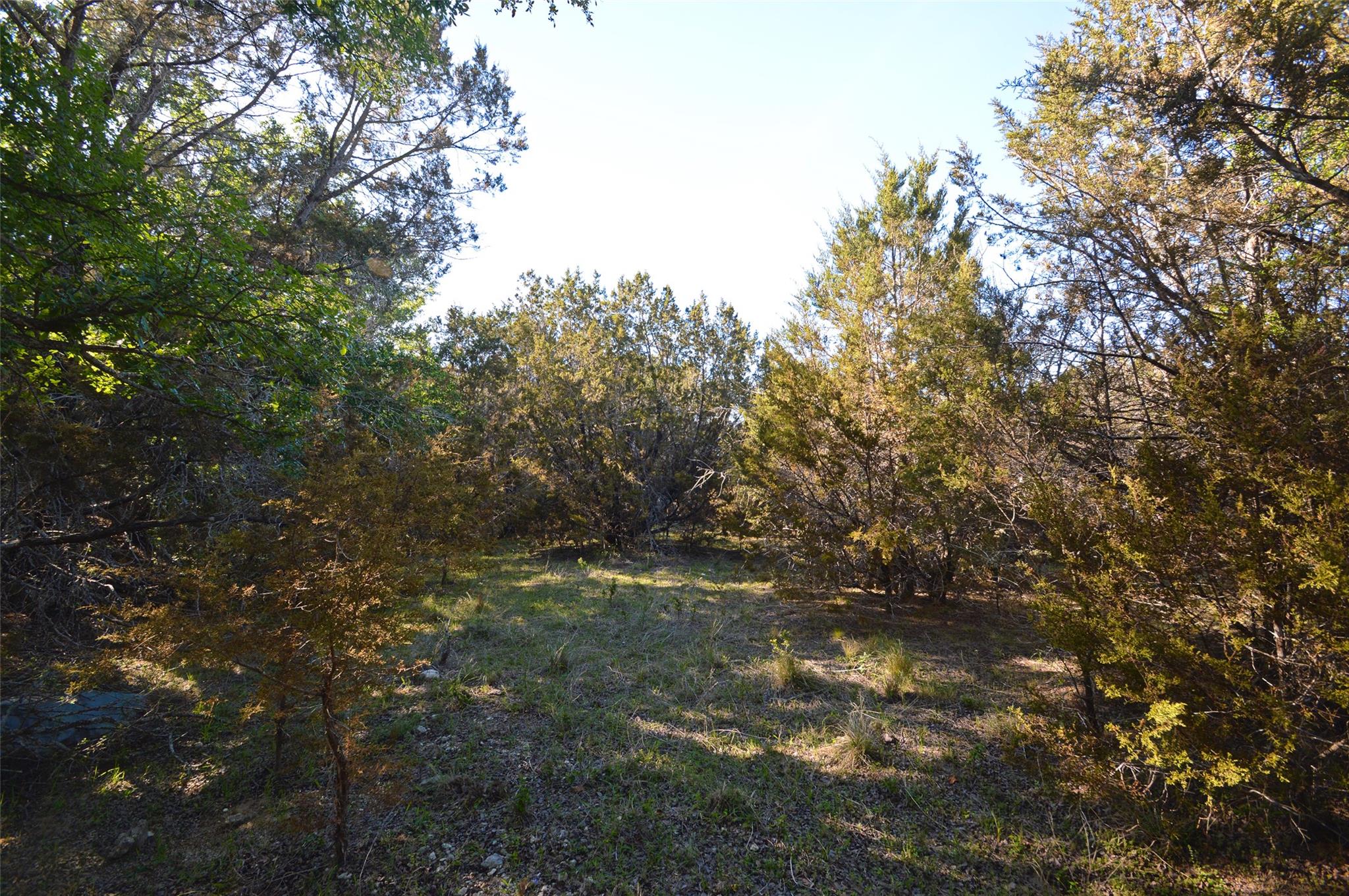 0 Fm 581 Hwy Property Photo 9