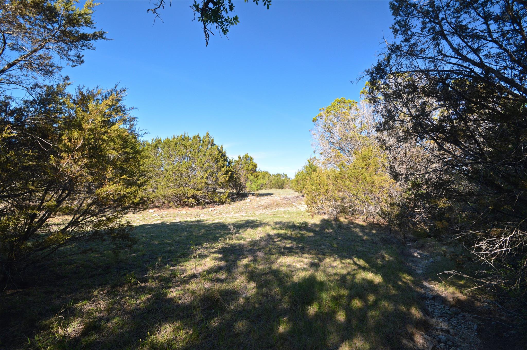 0 Fm 581 Hwy Property Photo 10