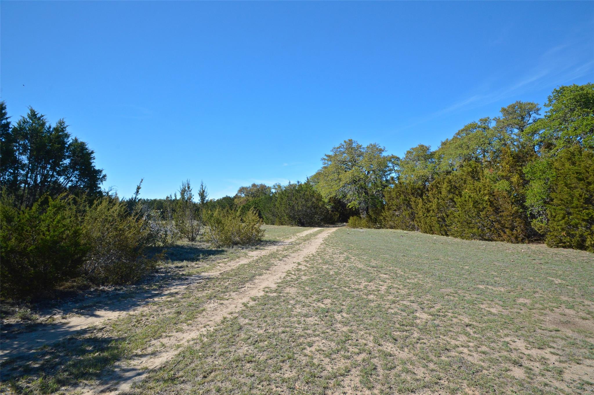0 Fm 581 Hwy Property Photo 14
