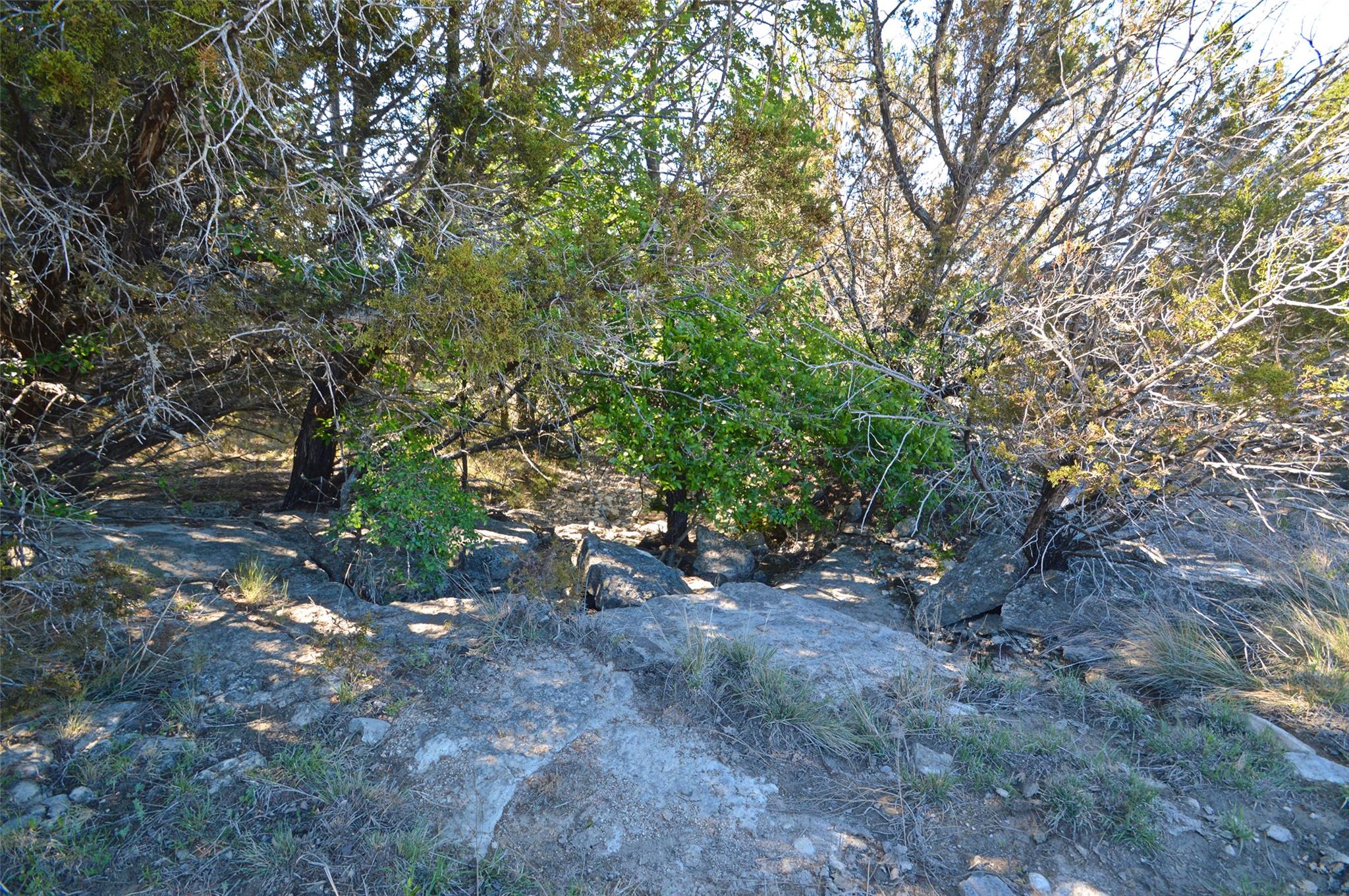 0 Fm 581 Hwy Property Photo 15