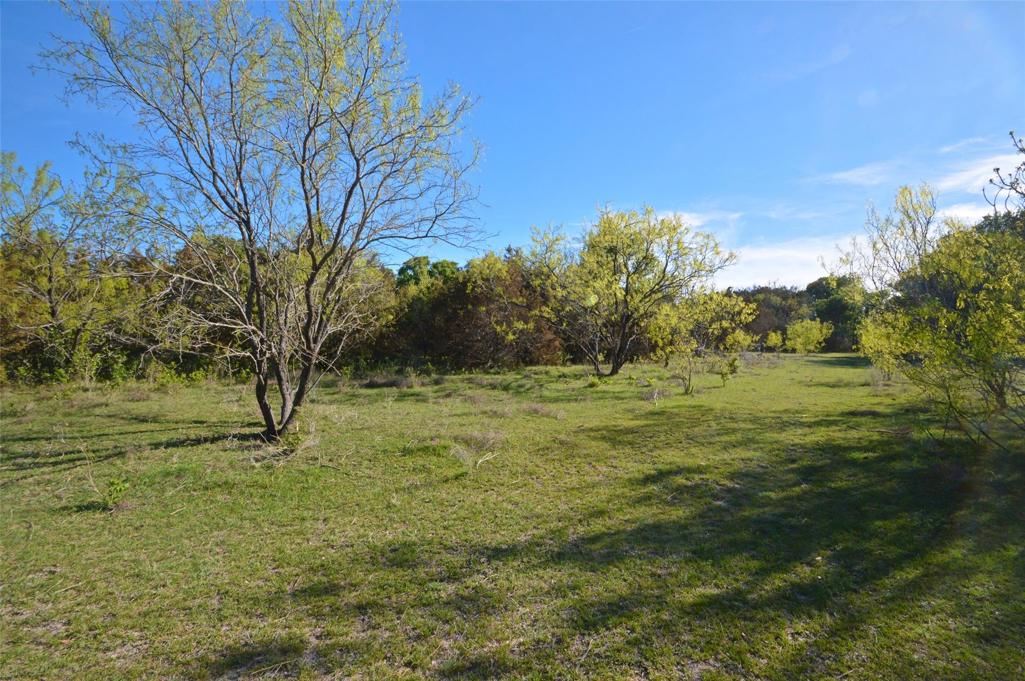 0 Fm 581 Hwy Property Photo 19