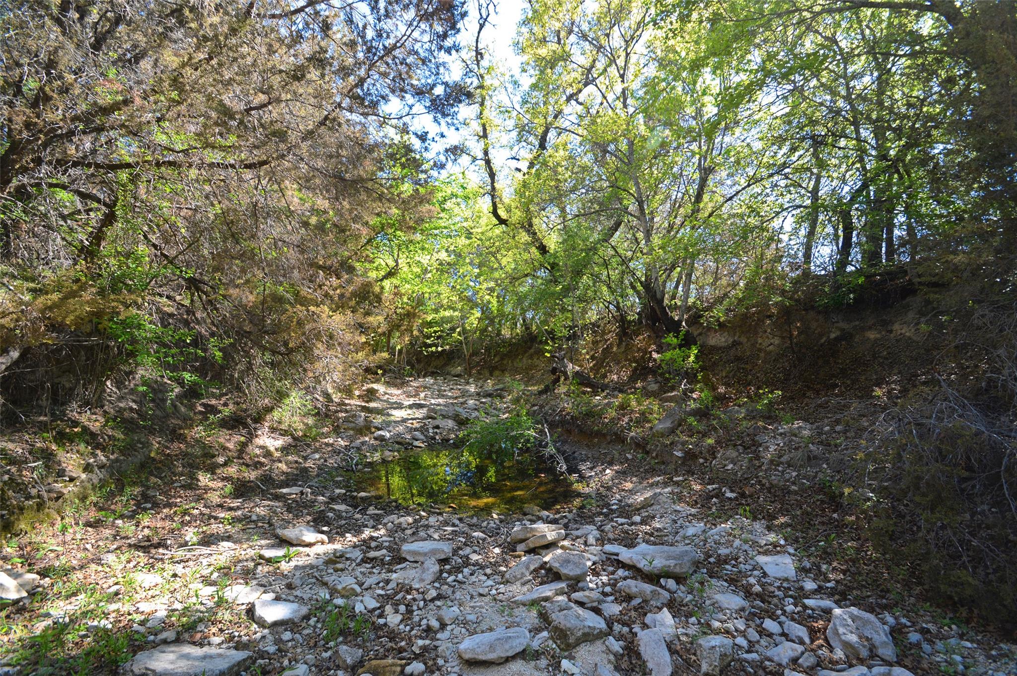 0 Fm 581 Hwy Property Photo 29