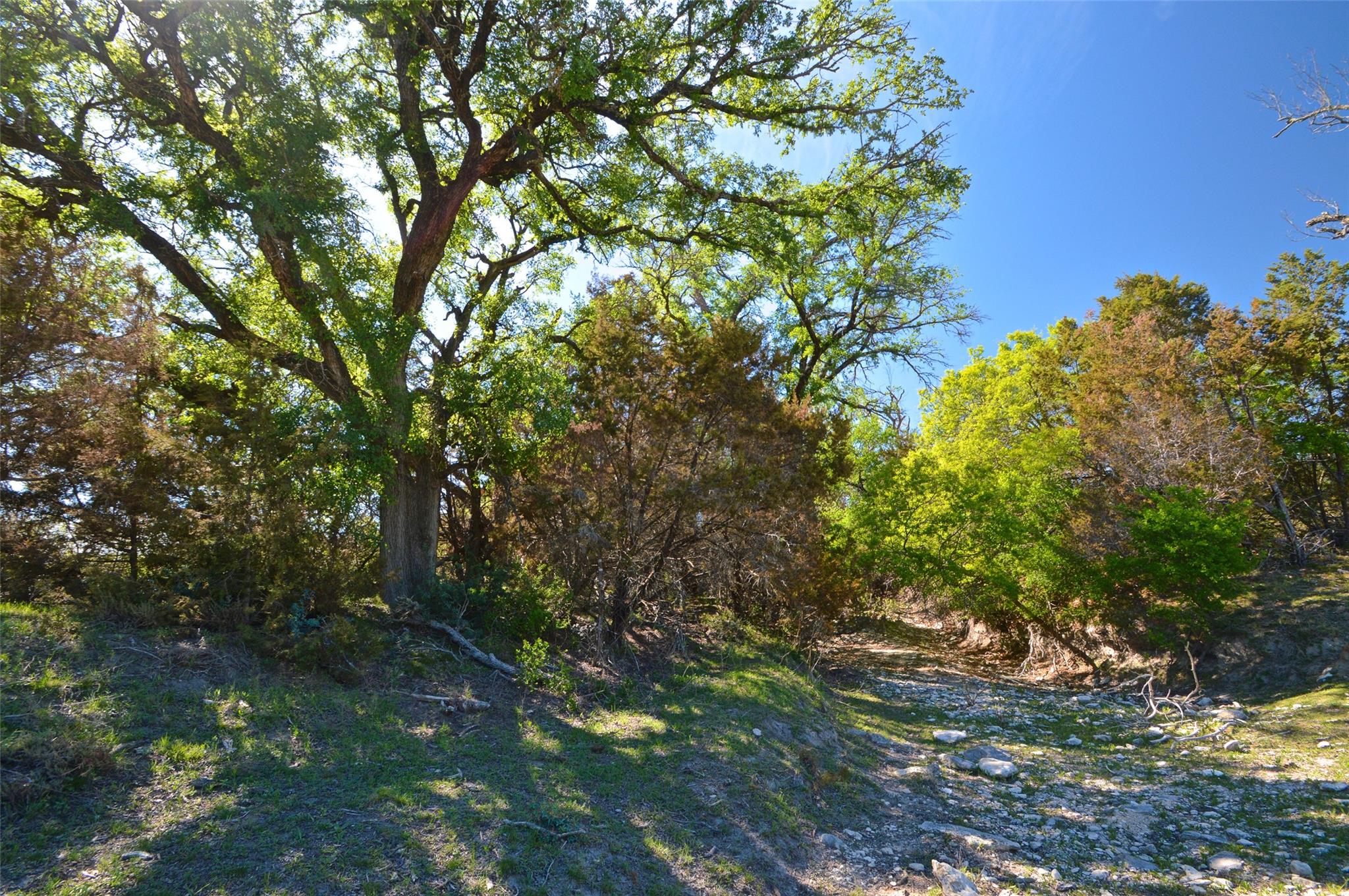 0 Fm 581 Hwy Property Photo 30