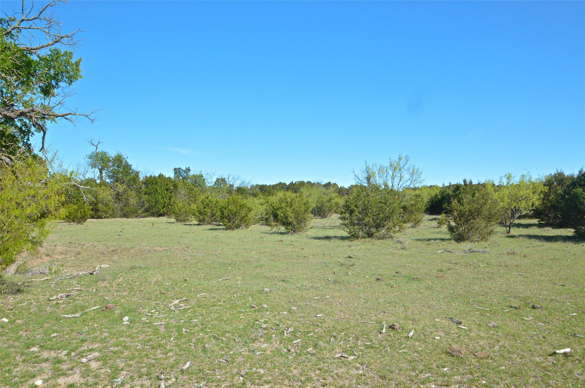 0 Fm 581 Hwy Property Photo 31