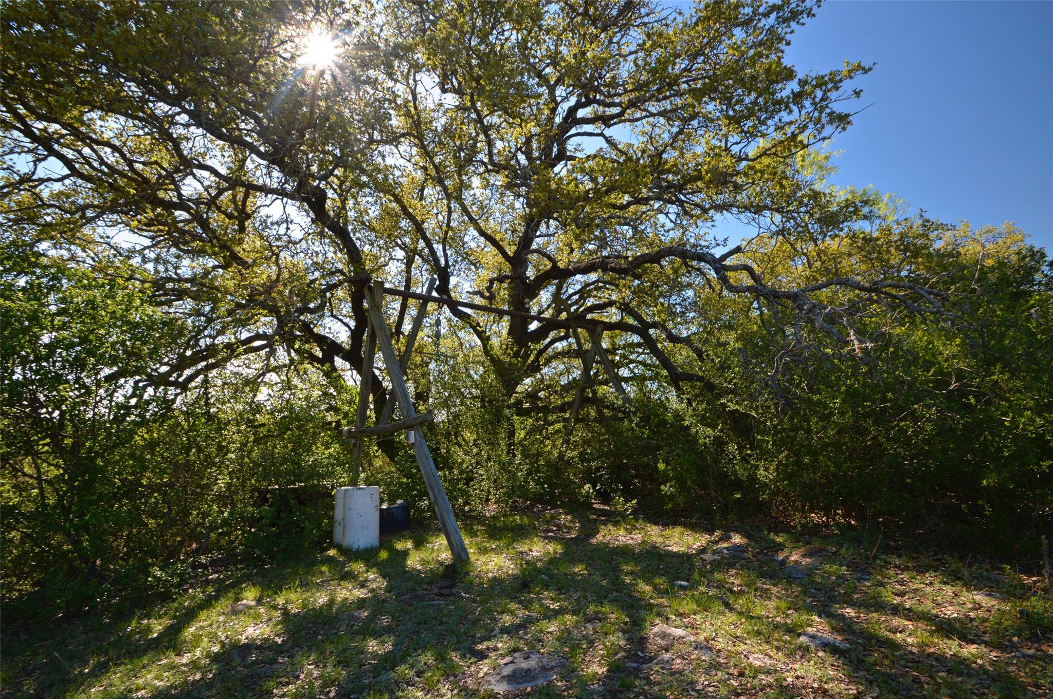 0 Fm 581 Hwy Property Photo 38