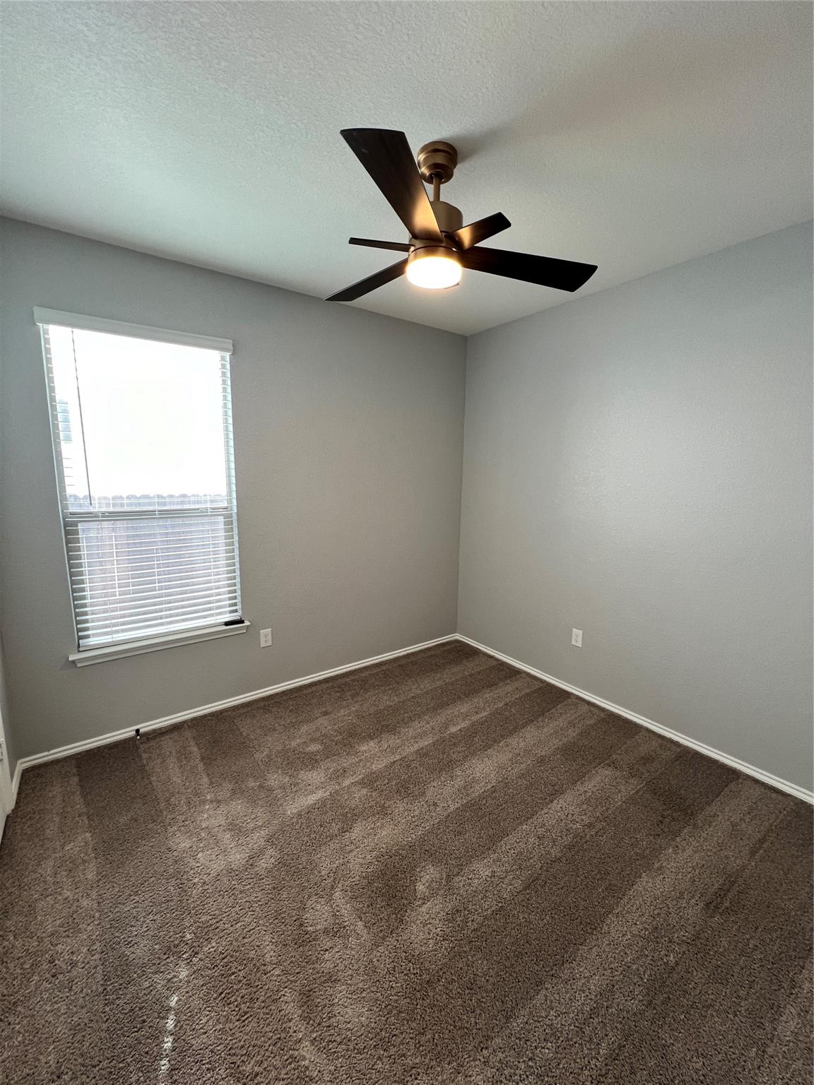 6516 Carriage Pines Dr Property Photo 19