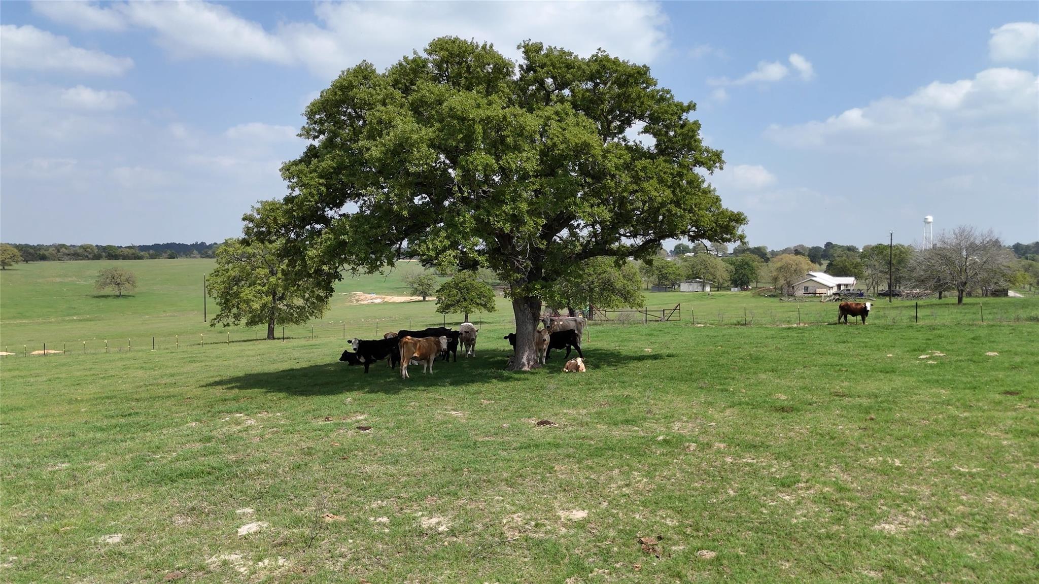 2792 Fm 535 Property Photo 27