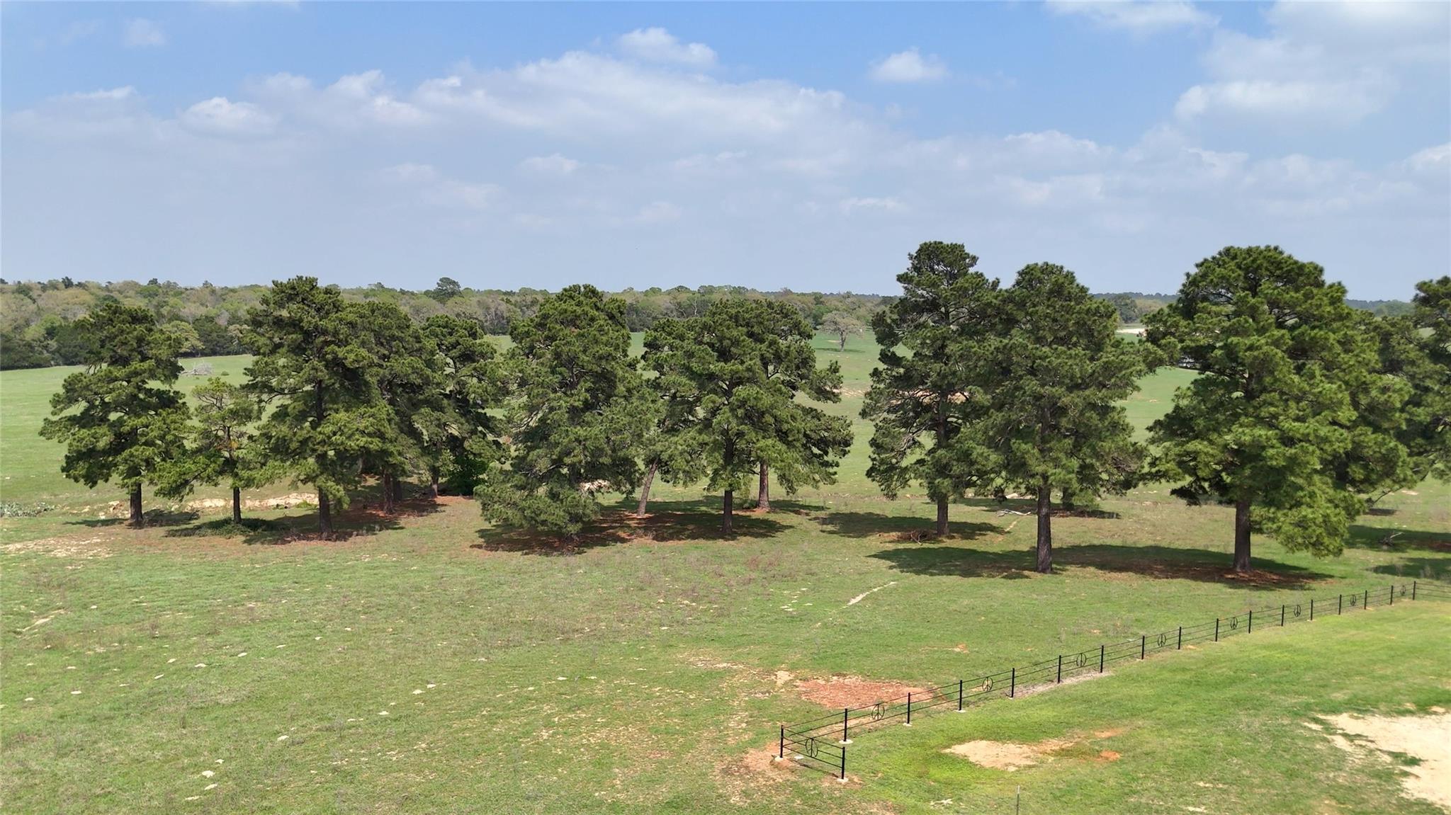 2792 Fm 535 Property Photo 29