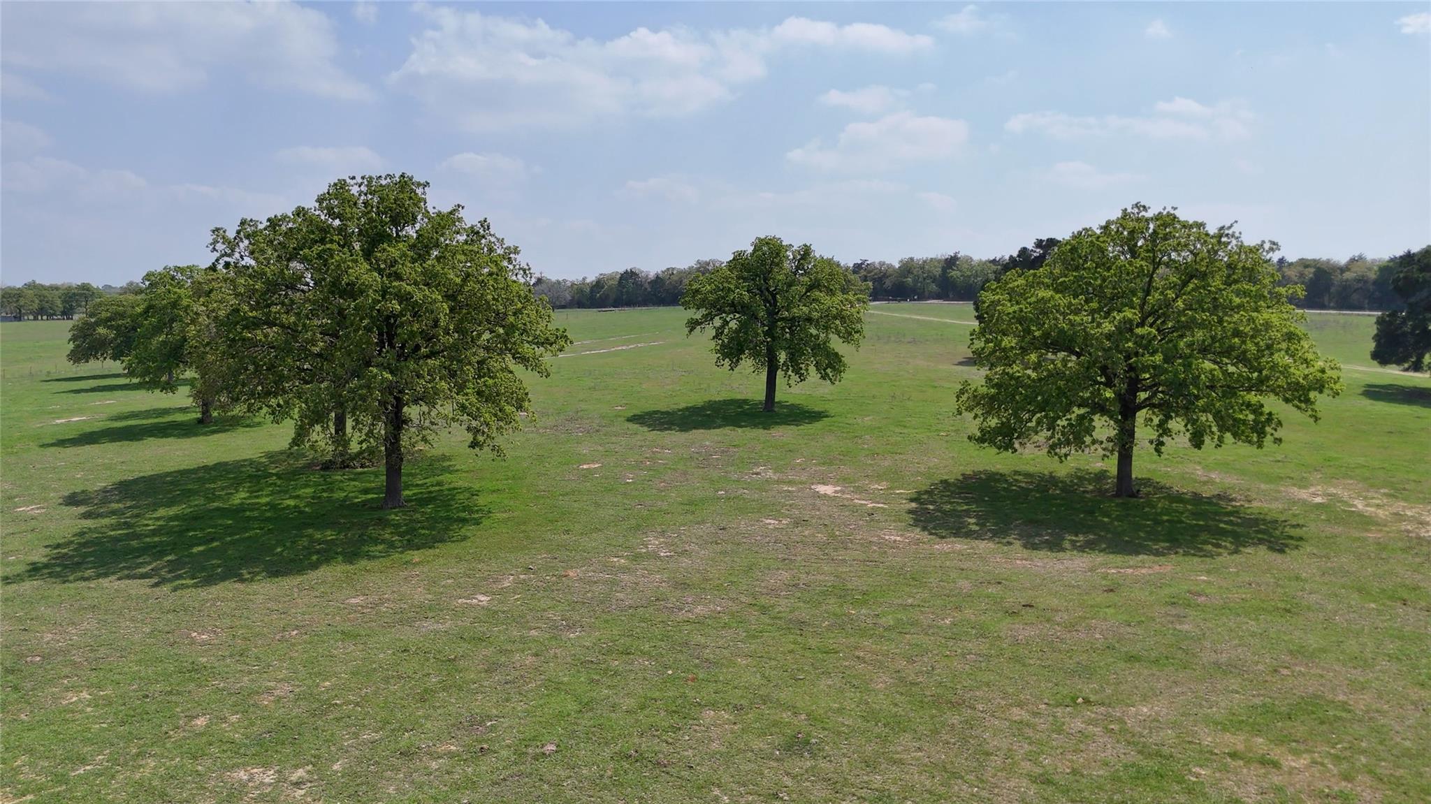 2792 Fm 535 Property Photo 30