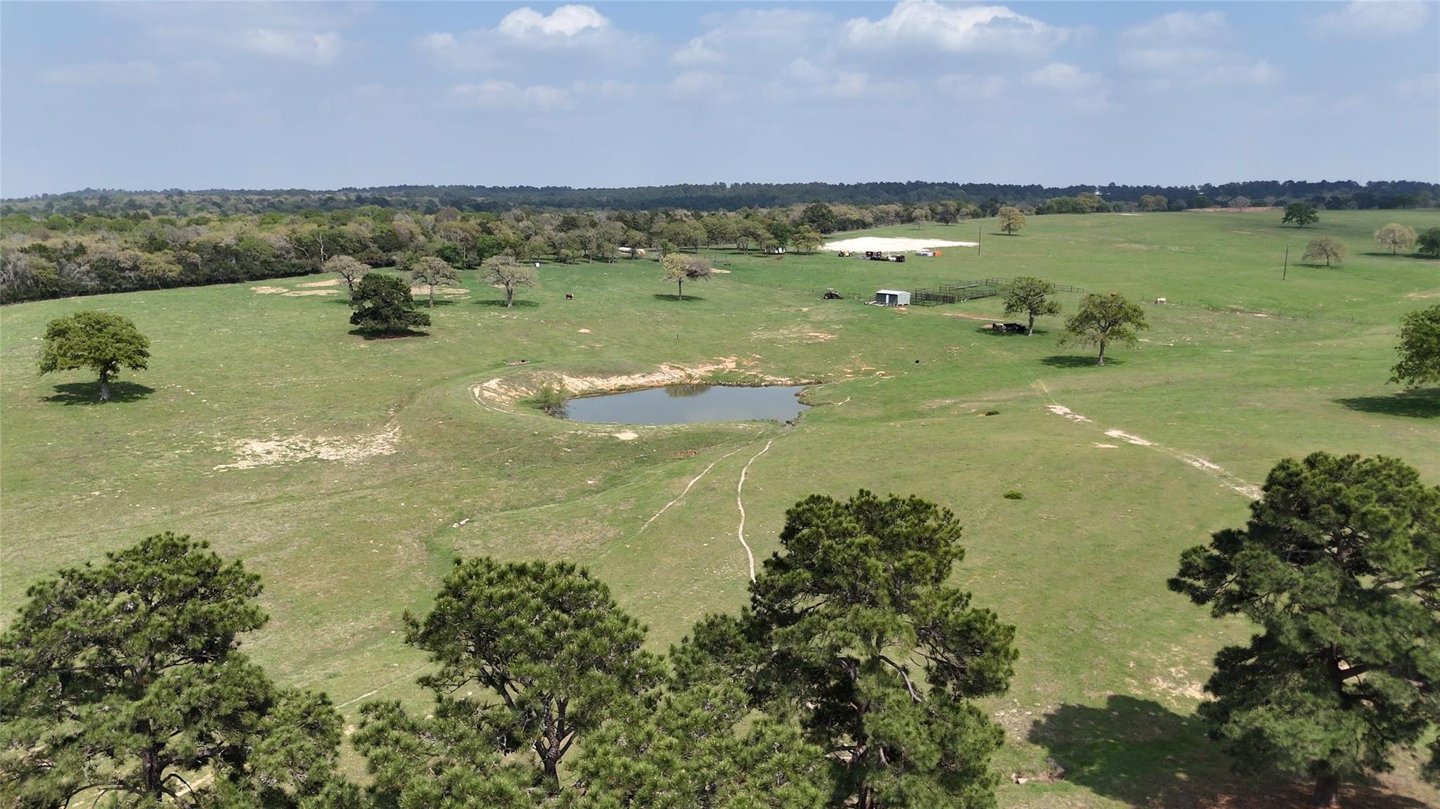 2792 Fm 535 Property Photo 31