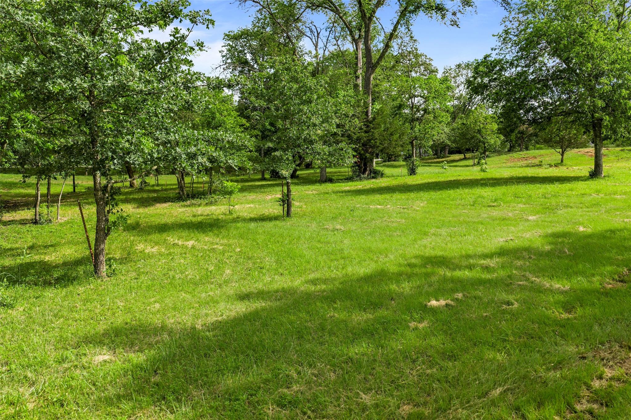 Tbd Belton St Property Photo 8