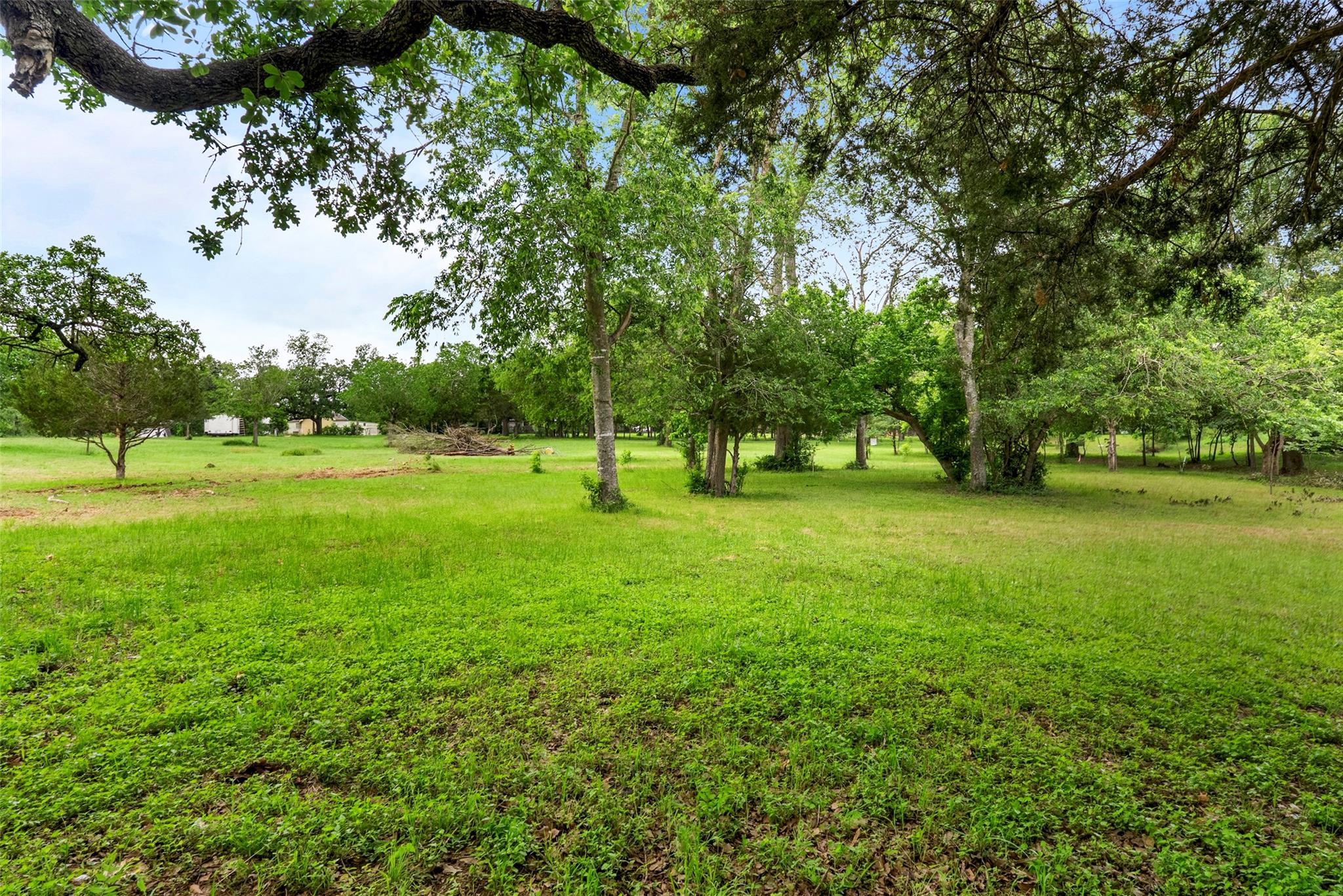 Tbd Belton St Property Photo 19