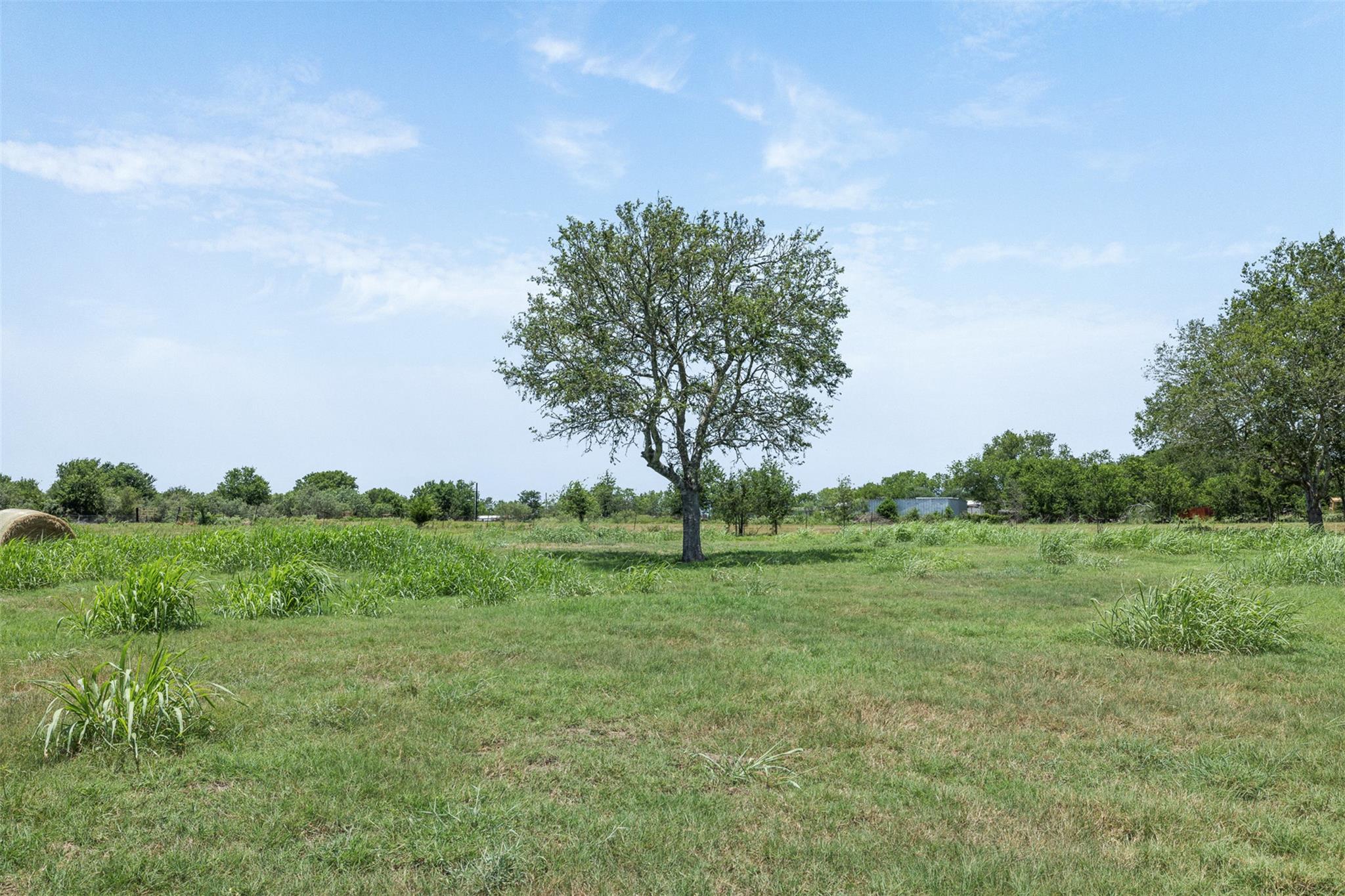 7441 County Road 144 None Property Photo 23