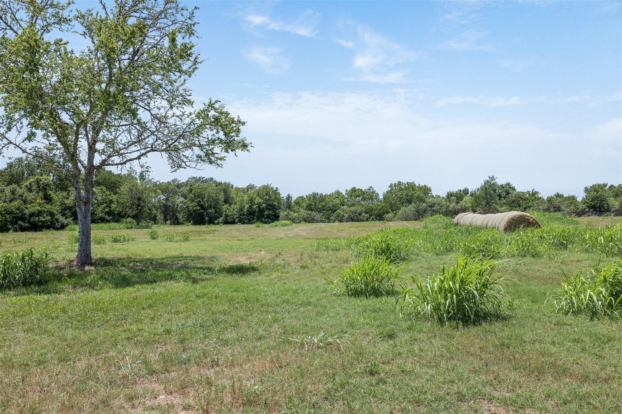 7441 County Road 144 None Property Photo 24