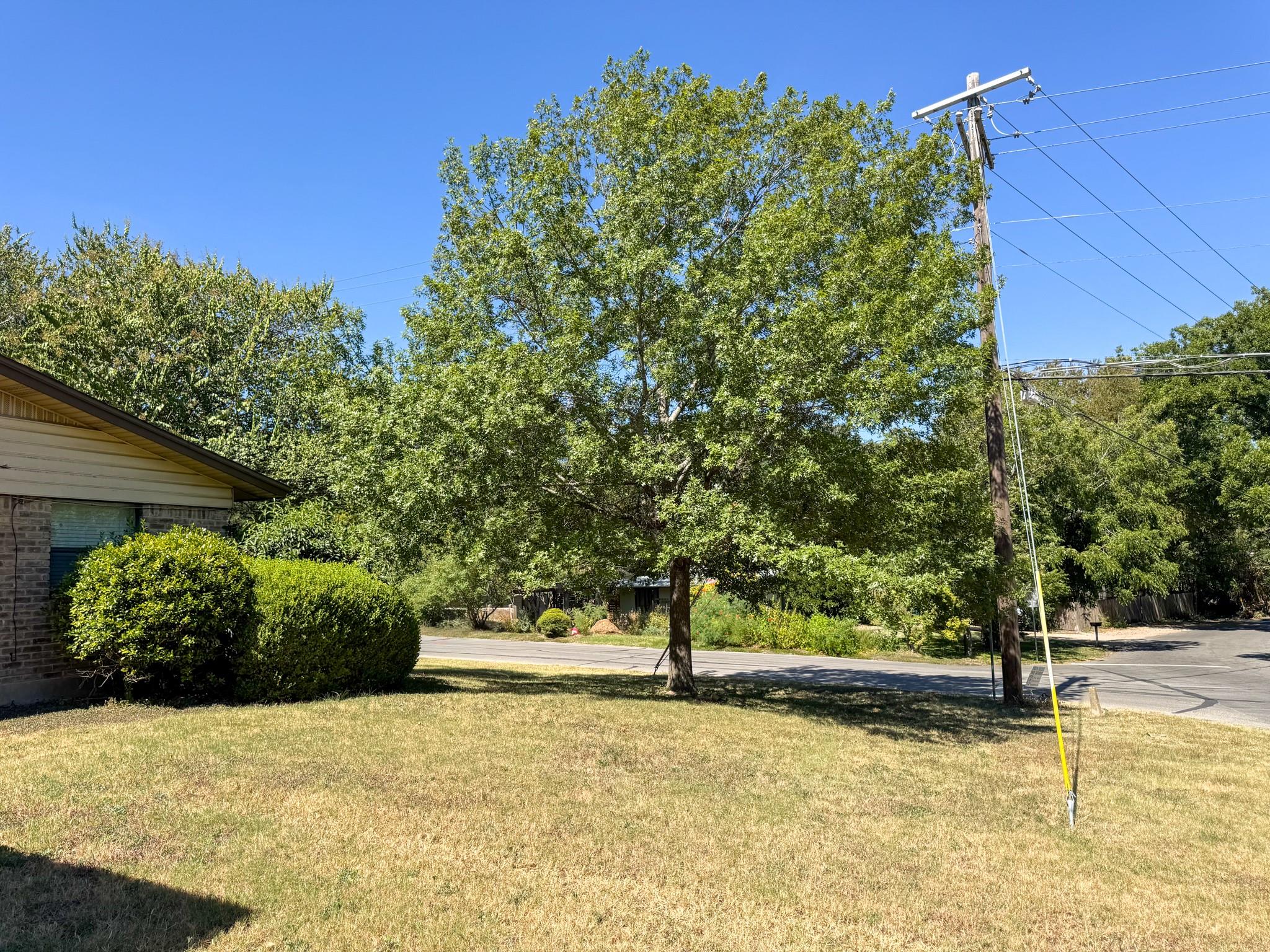 601 E Covington Dr #a & B Property Photo 4