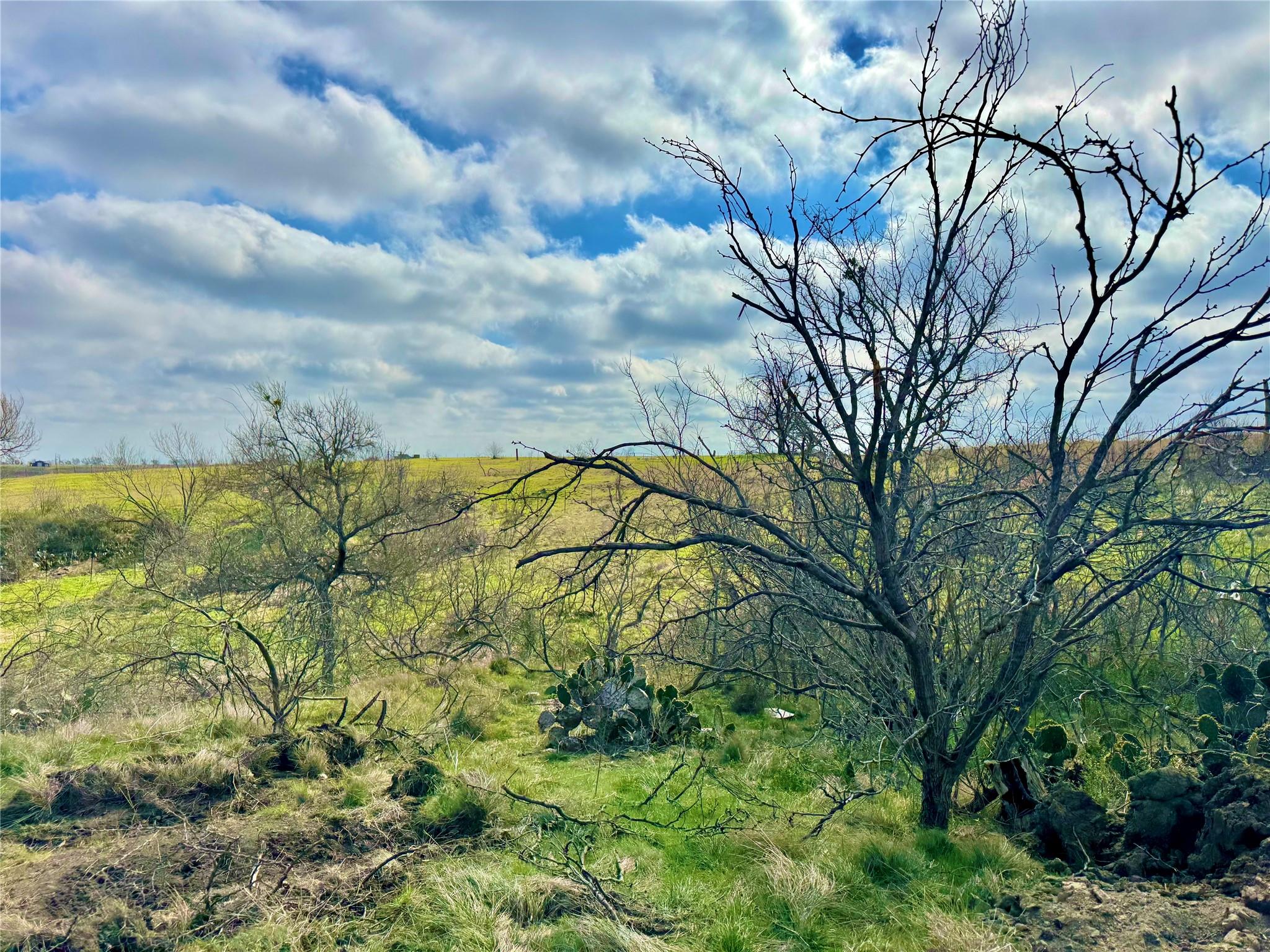 2015 County Road 455 Property Photo 11