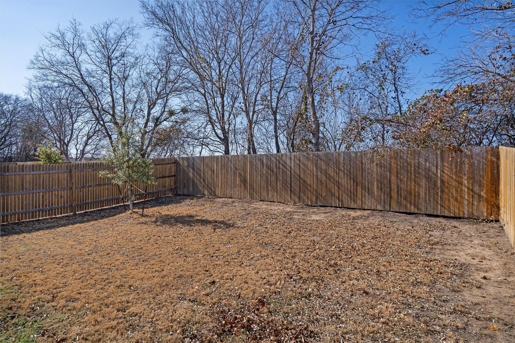 352 Sickle Loop Property Photo 33