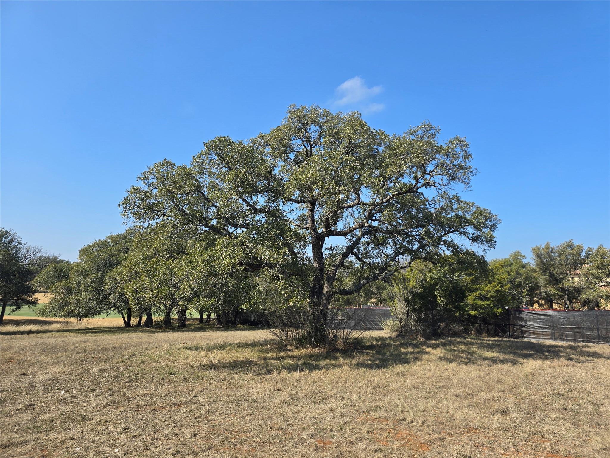 428 La Serena Loop Property Photo 3