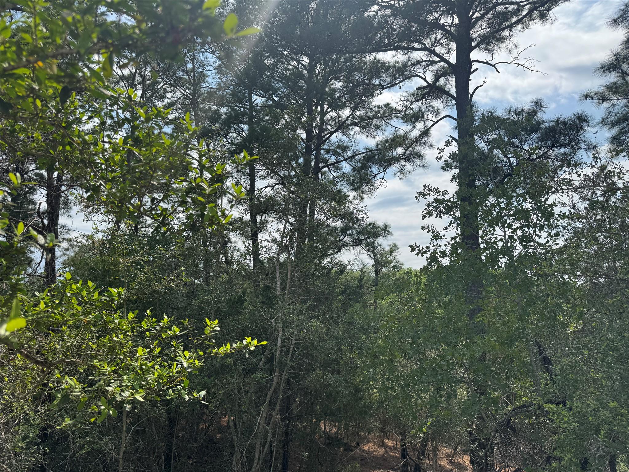 Lot 1263 Hanauma Dr