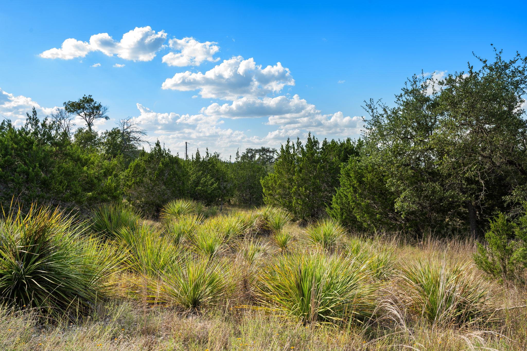 1051 Lipan Apache Run Property Photo 16