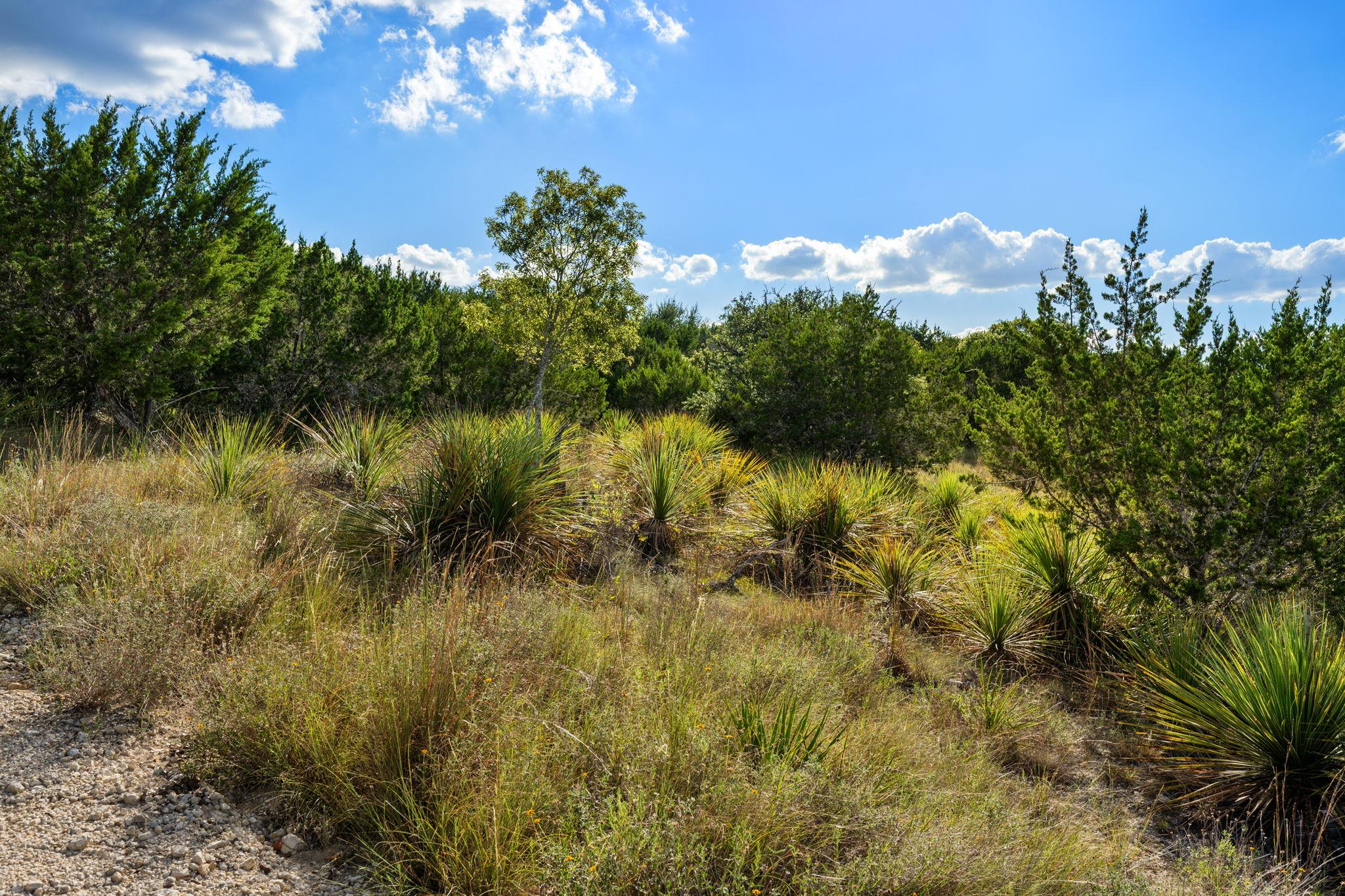 1051 Lipan Apache Run Property Photo 17