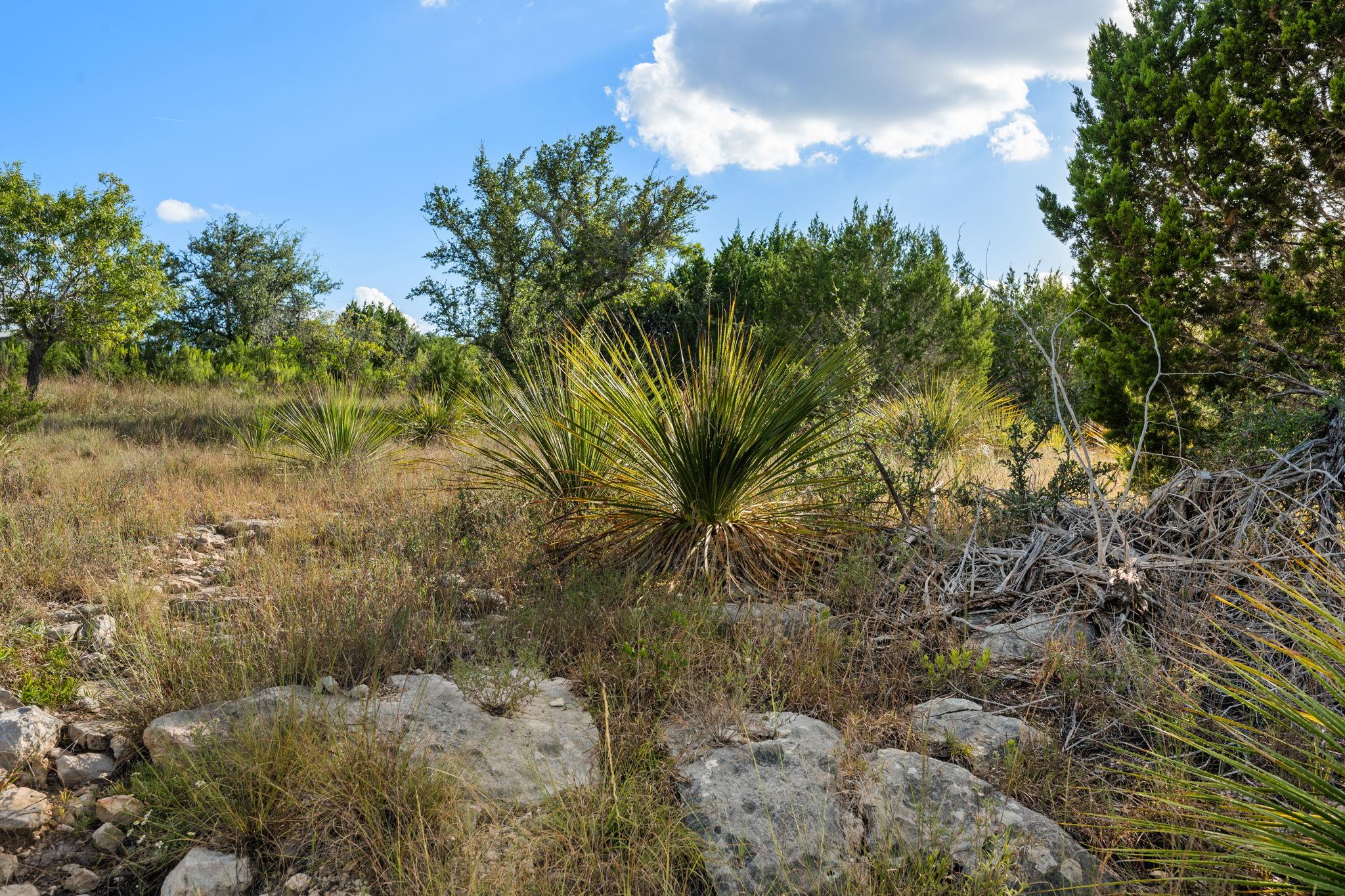 1051 Lipan Apache Run Property Photo 19