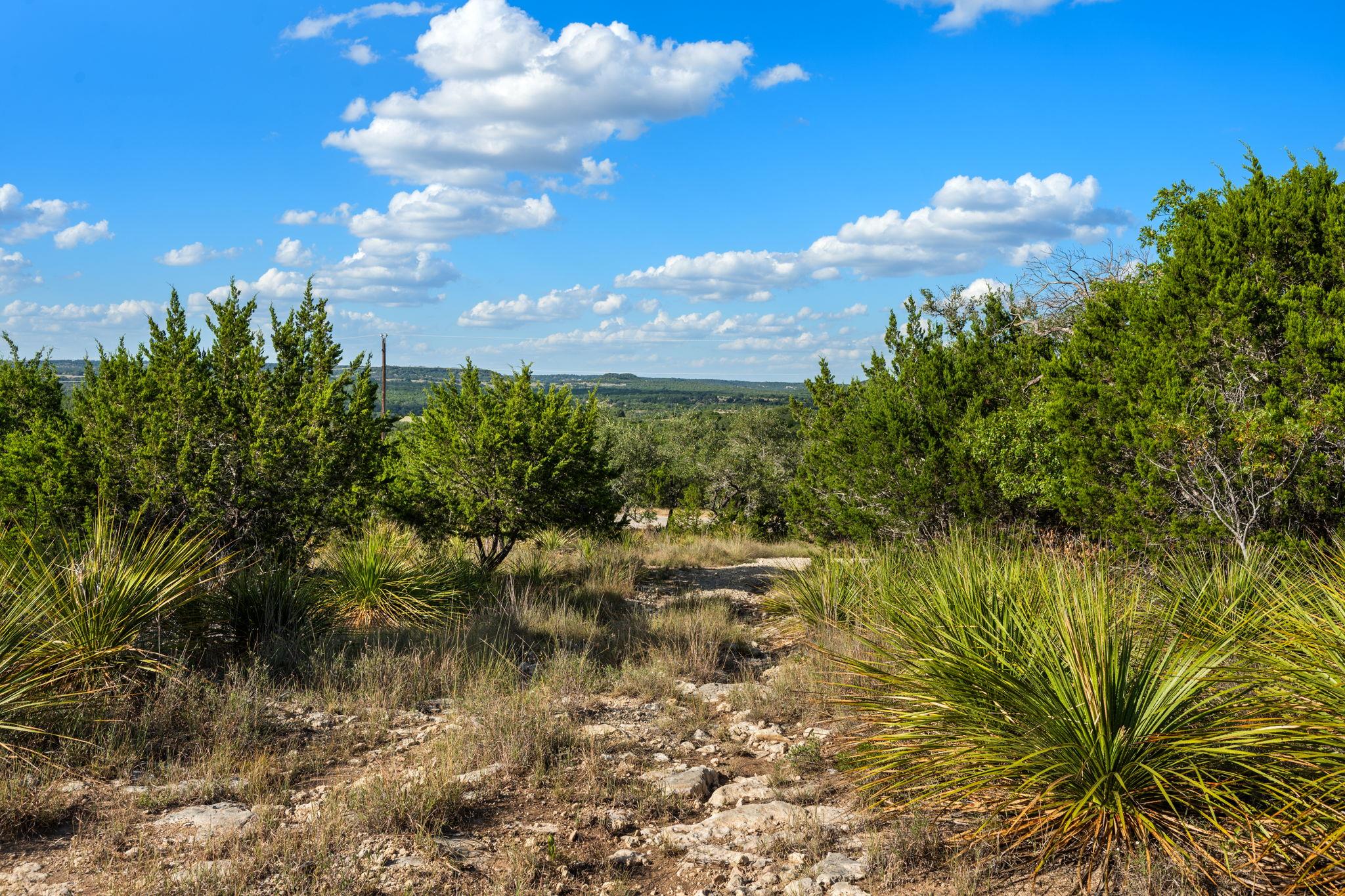 1051 Lipan Apache Run Property Photo 21