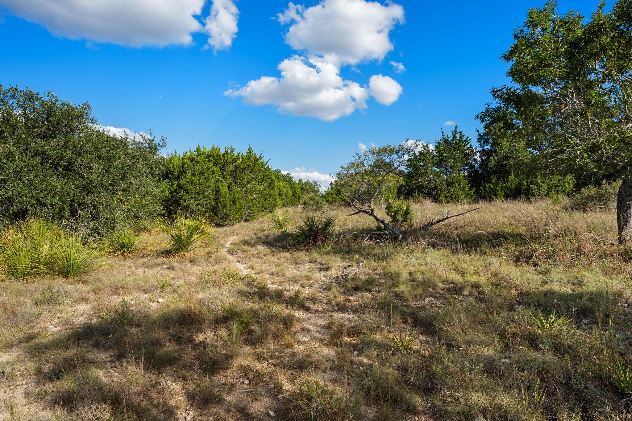 1051 Lipan Apache Run Property Photo 22