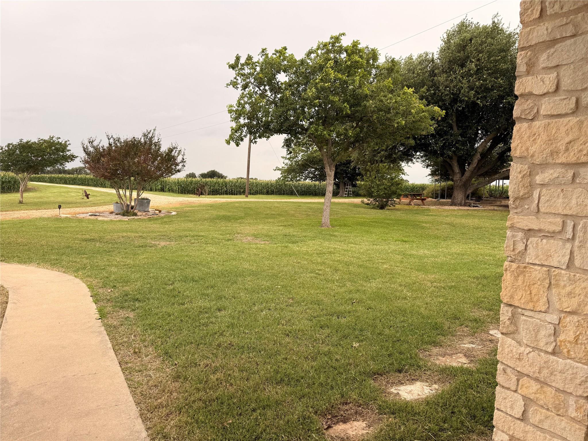 5600 Fm 1466 None Property Photo 4