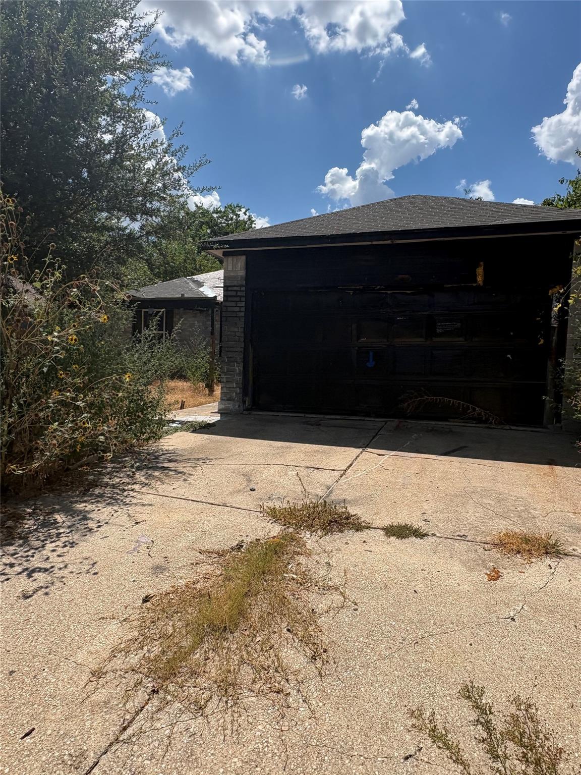 205 Barberry Dr Property Photo 1