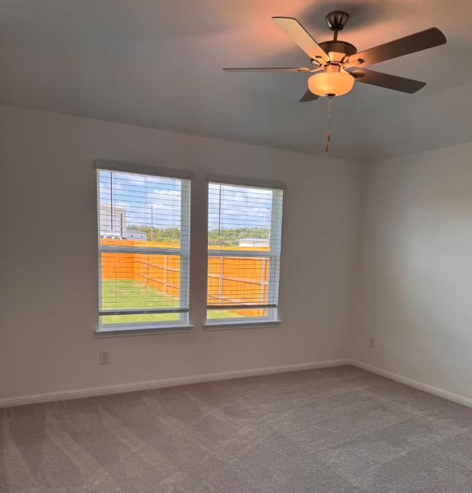 519 Unakite Trl Property Photo 14